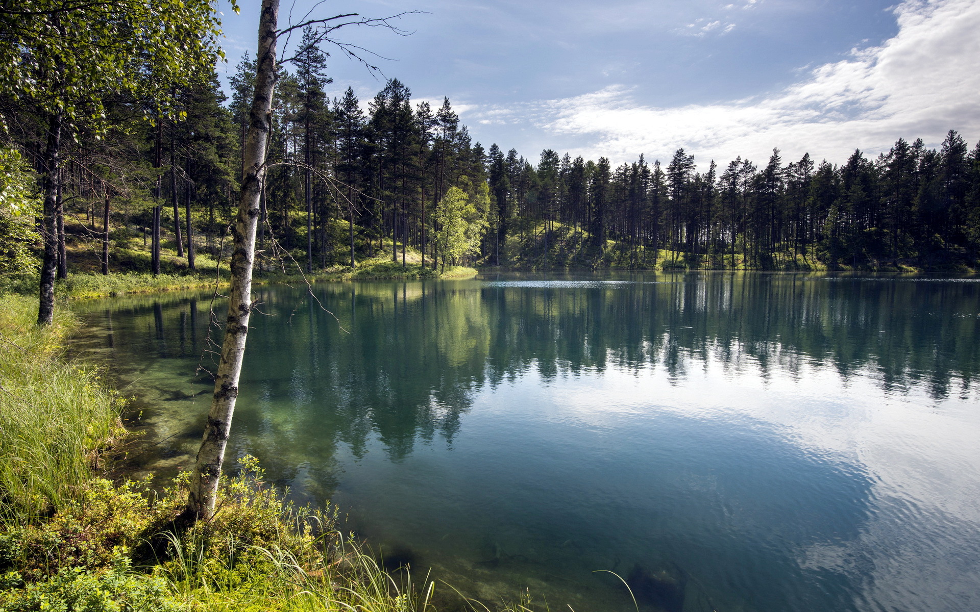 ilovenonude Wallpaper forest, summer, landscape, lake for mobile and desktop, section  пейзажи, resolution 1920x1200 - download