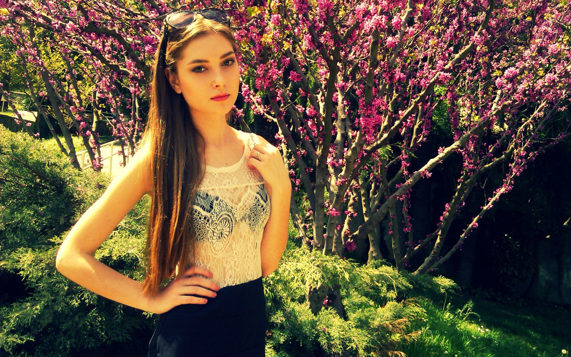 Spring long. Луг. Spring long. Японский сад мрия аллея сакур. Природа весной.