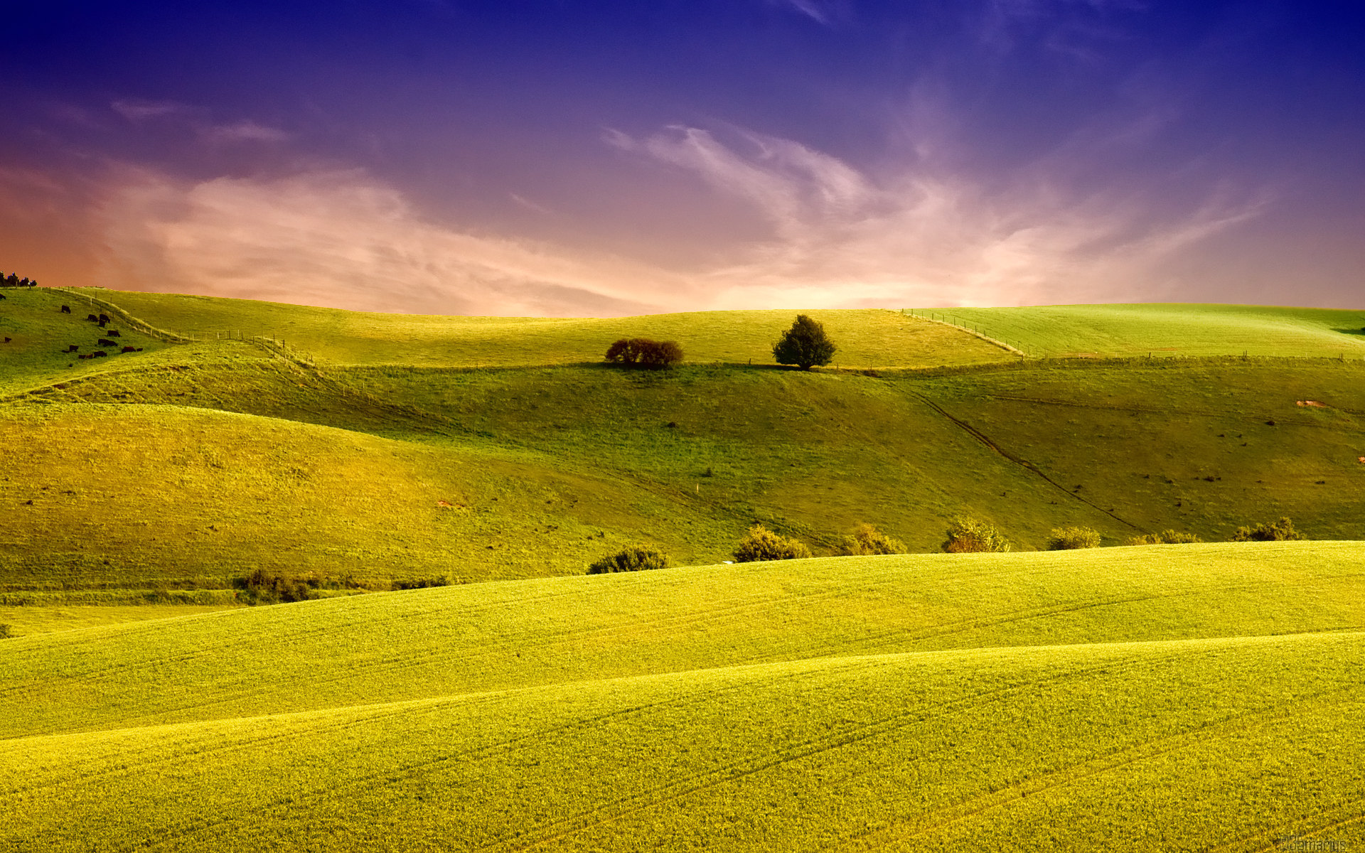 Холм живая природа. Green Hills зеленые холмы. Холмистая равнина Тоскана. Холмистый пейзаж. Пейзаж холмы.