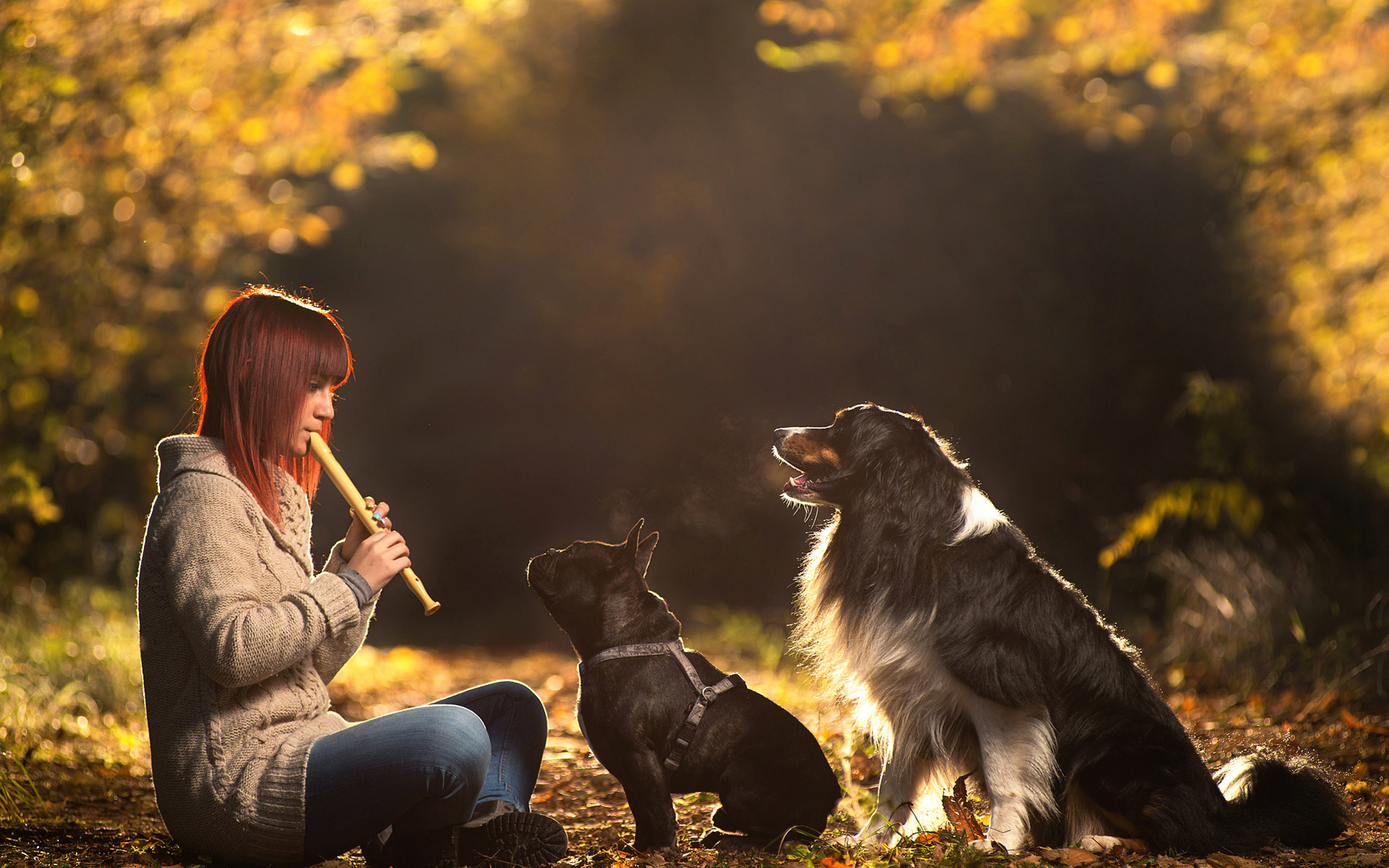 Dog girl play. Девушка с собакой. Девушка с собакой фотосессия. Собака на природе. Люди и животные.