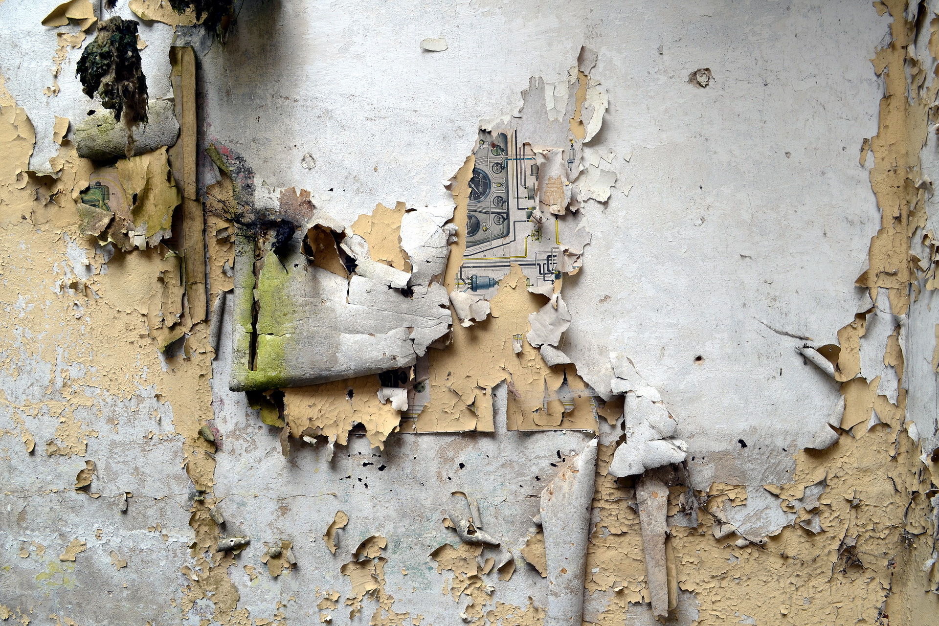 Download wallpaper background, wall, texture, section textures in ...