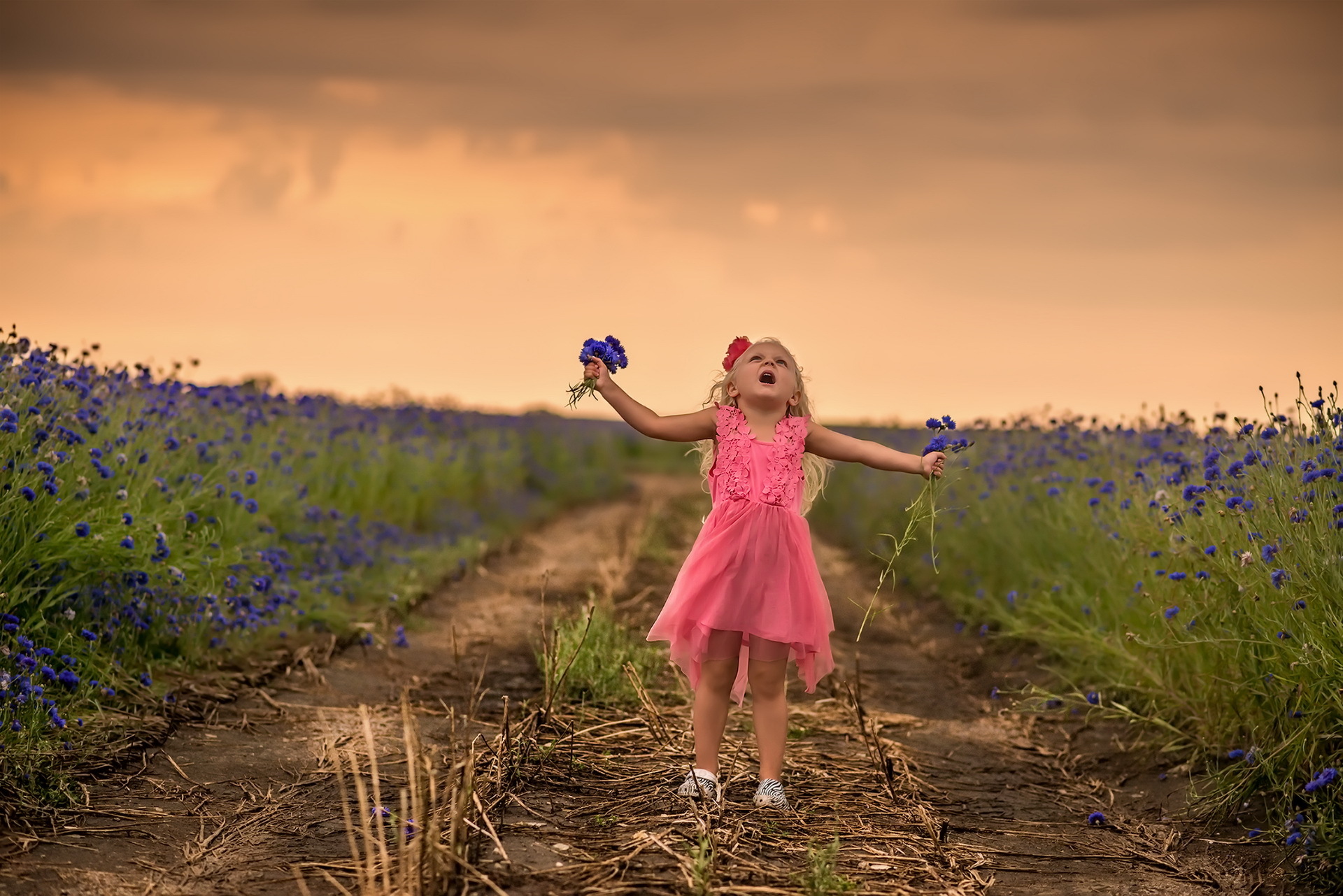 Вечером девочки мы пойдем. Дети и природа. Девочка с цветами. Девочка бежит в поле. Девочка бежит по лугу.