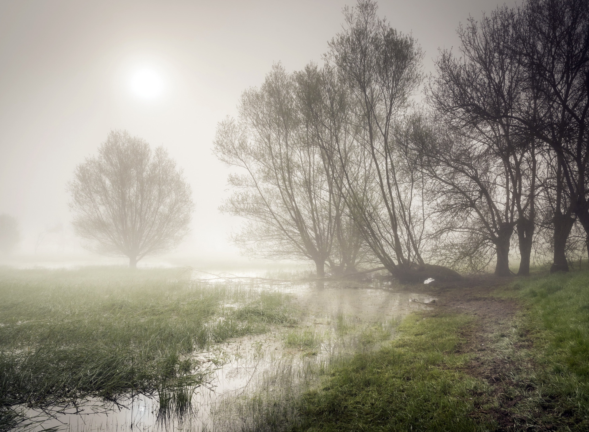 Бежит река в тумане слушать. Туман на реке. Речка в тумане. Пехорка река в тумане.