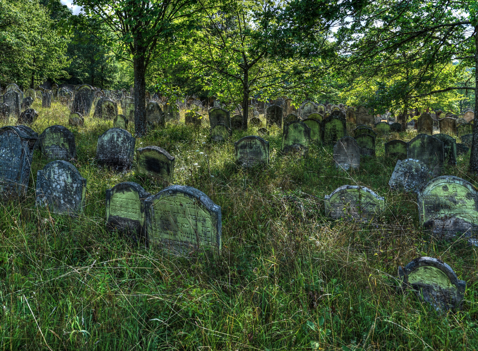 Сонник кладбище видеть. Молдавия кладбище. Старое городское кладбище (Ялта). Черветто кладбище. Кахетия кладбищах.