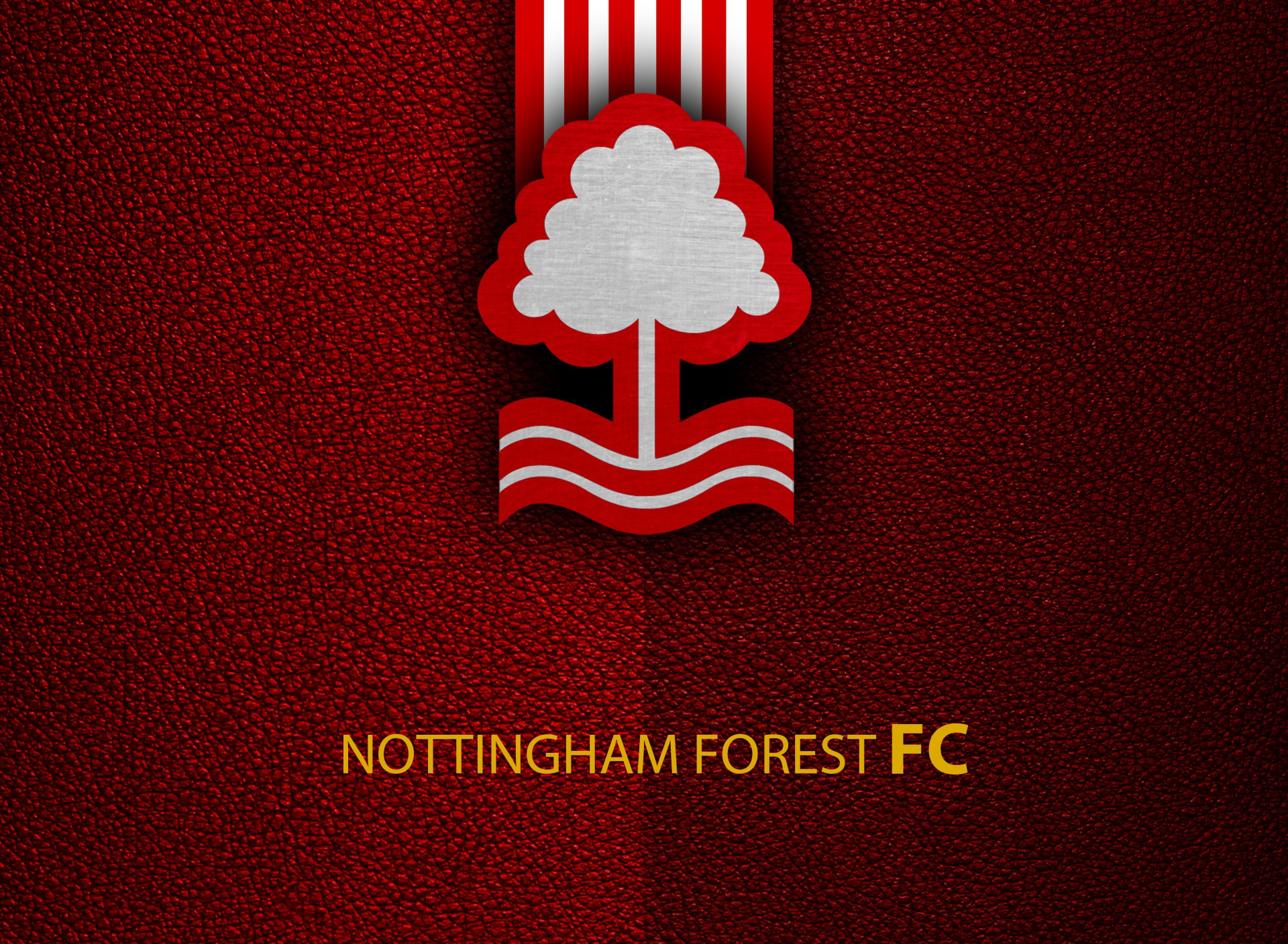 Download wallpaper wallpaper, sport, logo, football, English Premier 