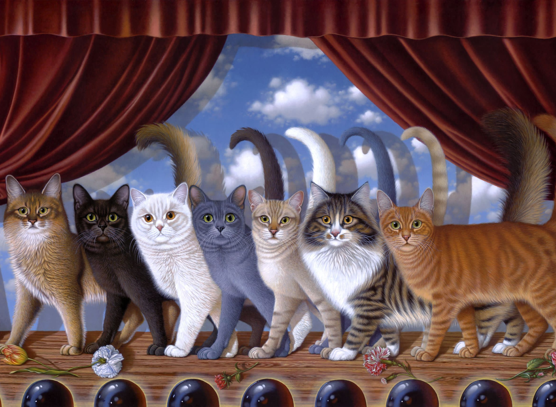 Cat scene. Четыре кота. Много котиков. Коты несколько. Королевство кошек.