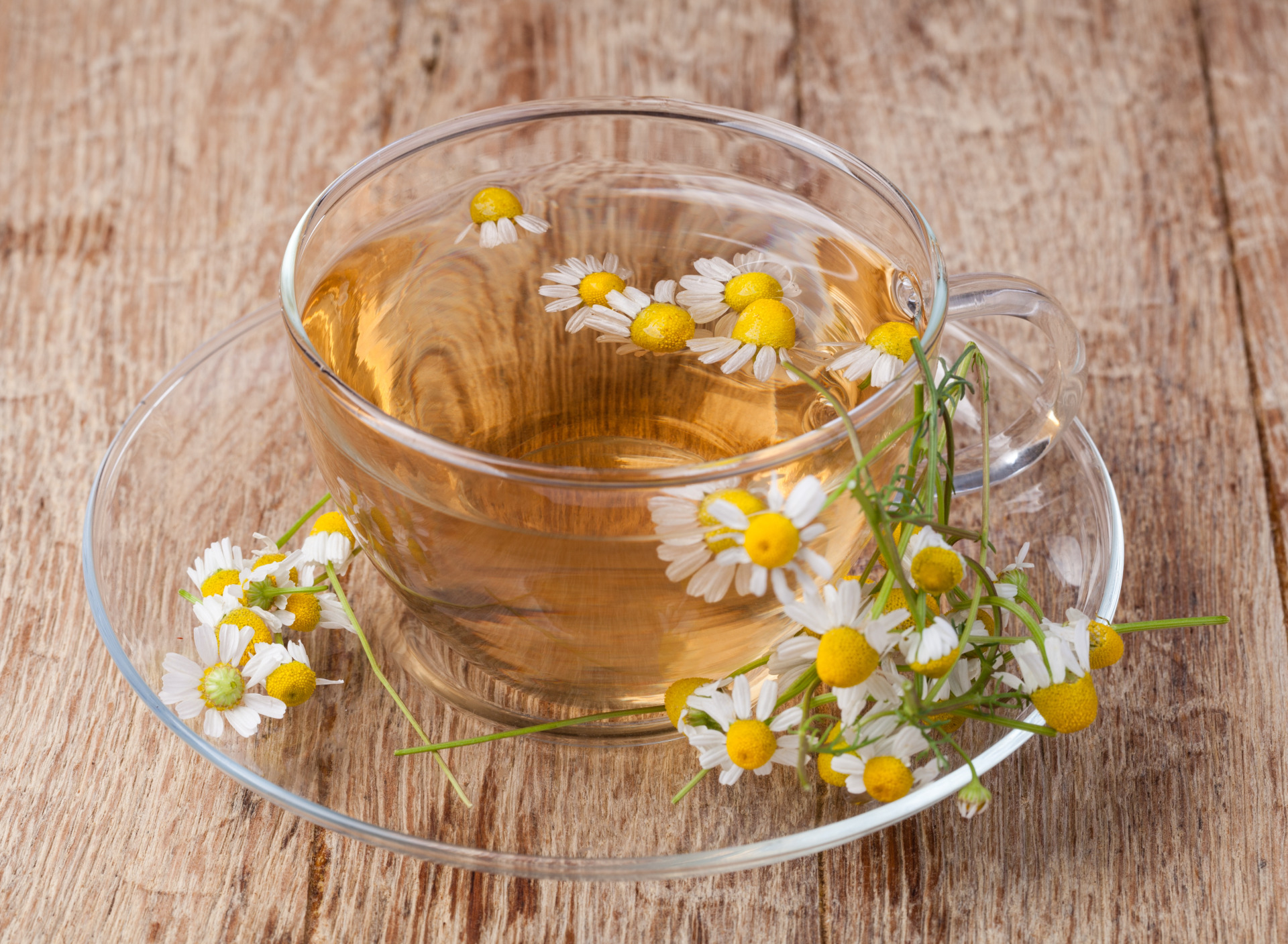 Flower drink. Чай "Ромашка". Отвар ромашки. Отвар из ромашки. Травяной чай из ромашки.