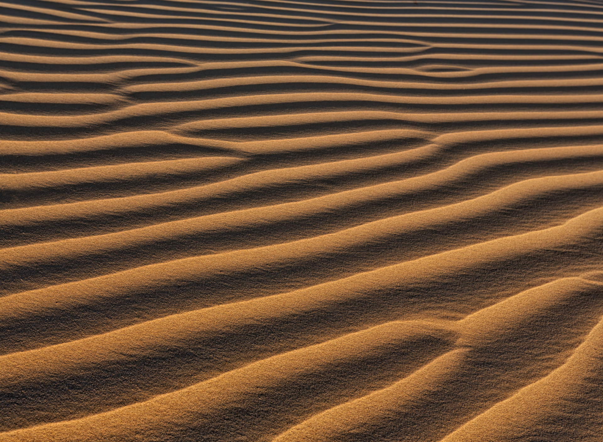 Download wallpaper sand, wave, background, color, section textures in