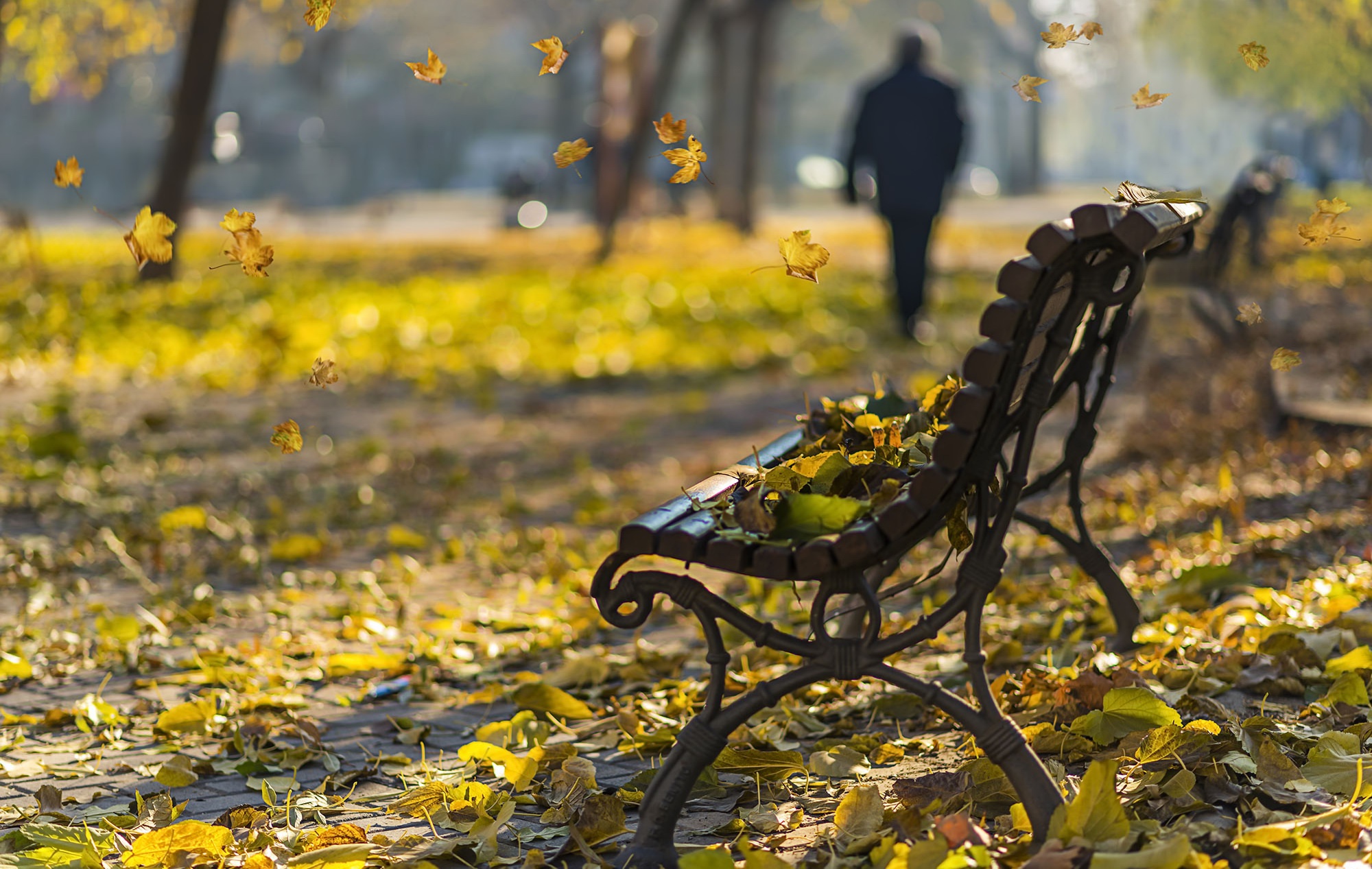 Брести время. Осенняя грусть. Одинокая скамейка в парке. Осень скамейка. Скамейка осенью.