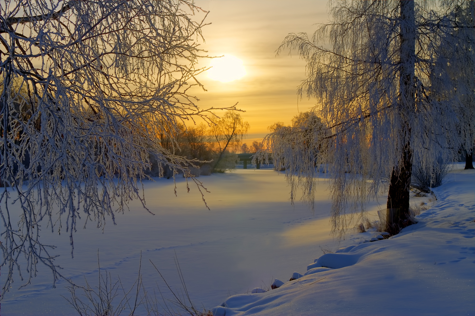 Январский день. Зимнее утро. Зимний пейзаж. Зимняя природа. Красивая зима.