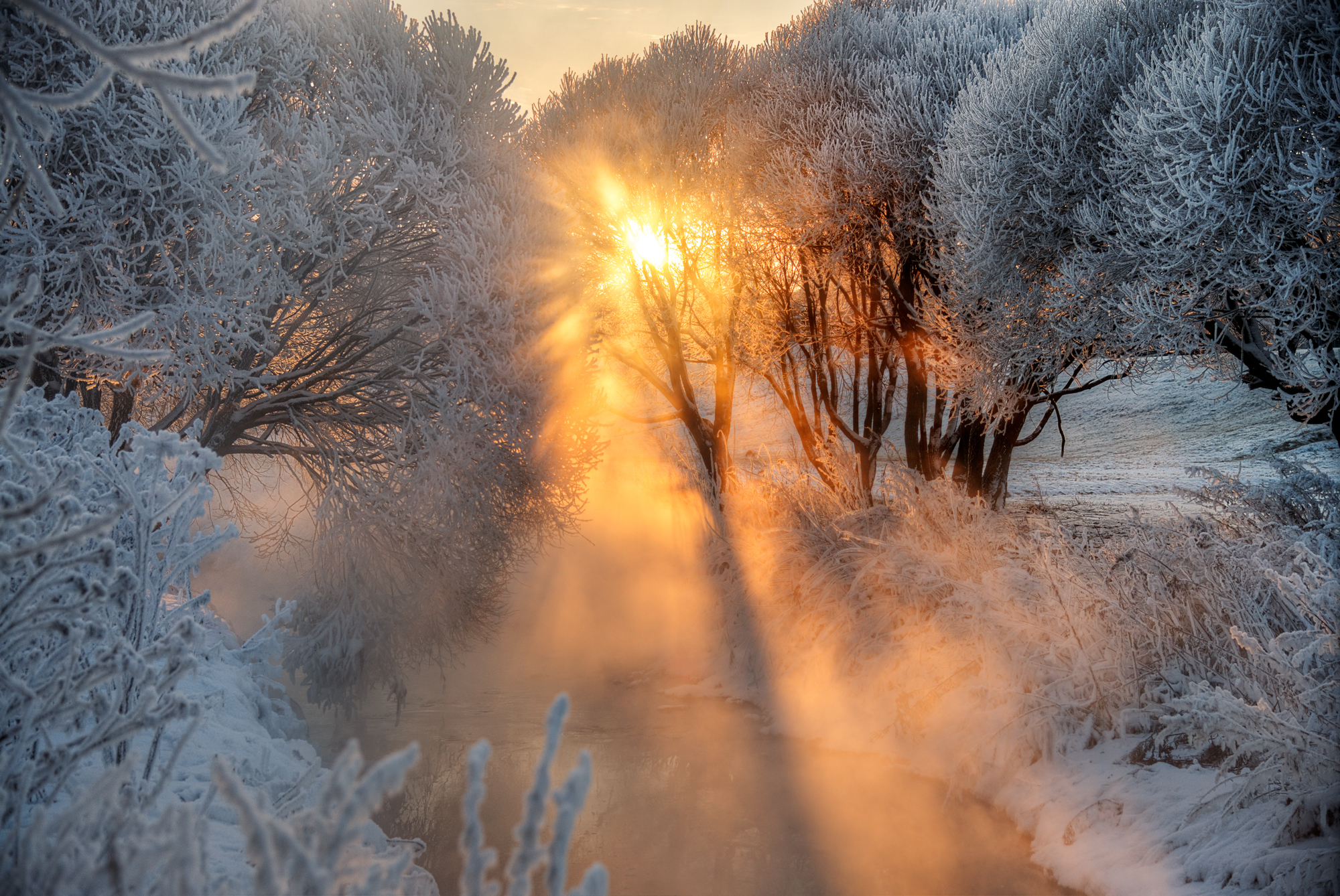 Сильный утренний мороз сковал ручьи. Рассвет зимой. Зимний пейзаж. Зимний лес солнце. Рассвет в зимнем лесу.
