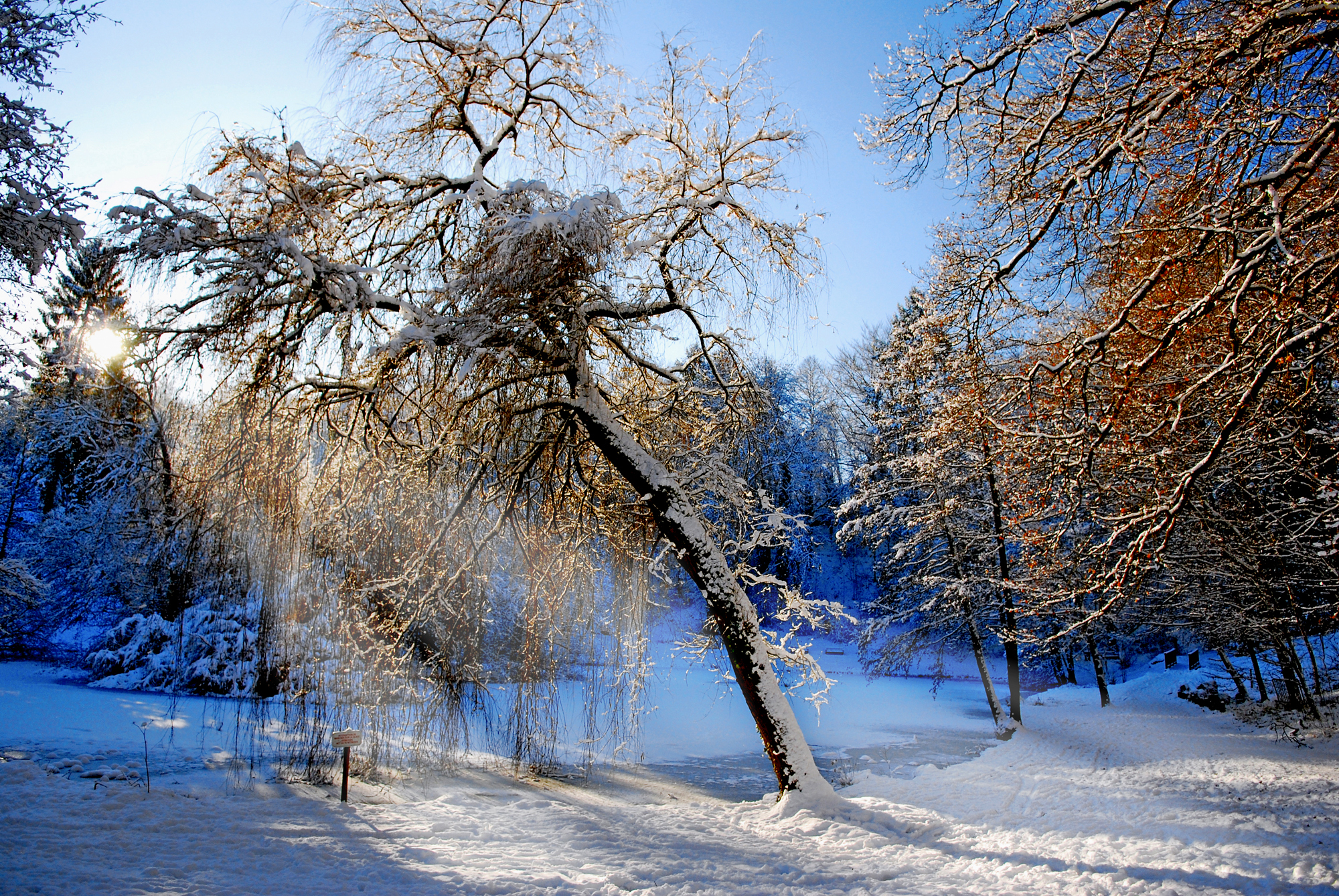 Видео природа зима