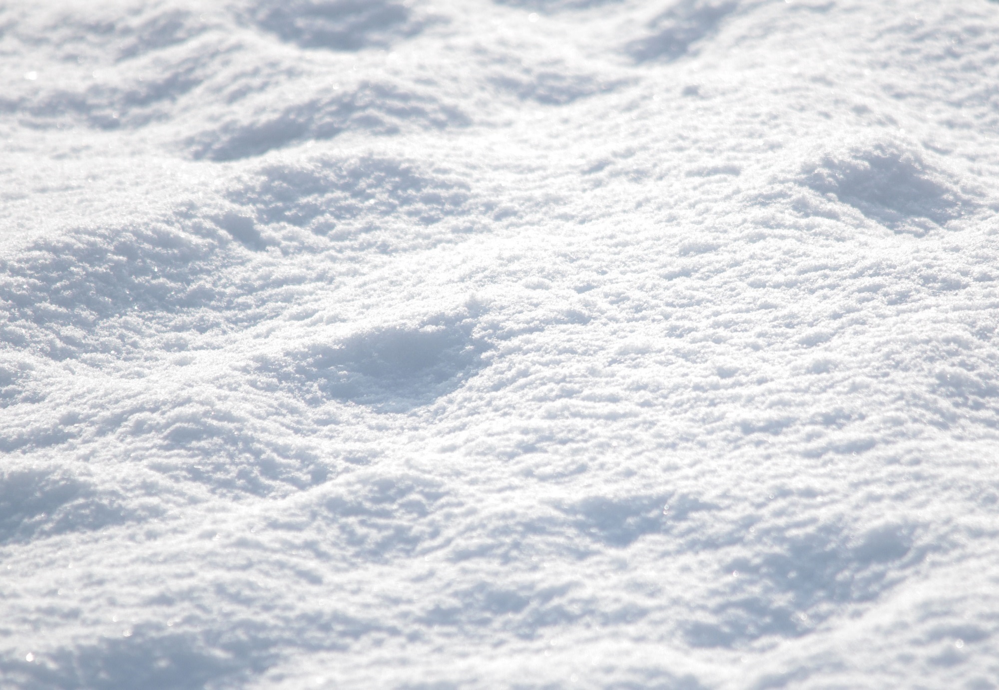 Снег 100 см. Снег для фотошопа. Снег текстура. Белый снег. Снег вид сверху.