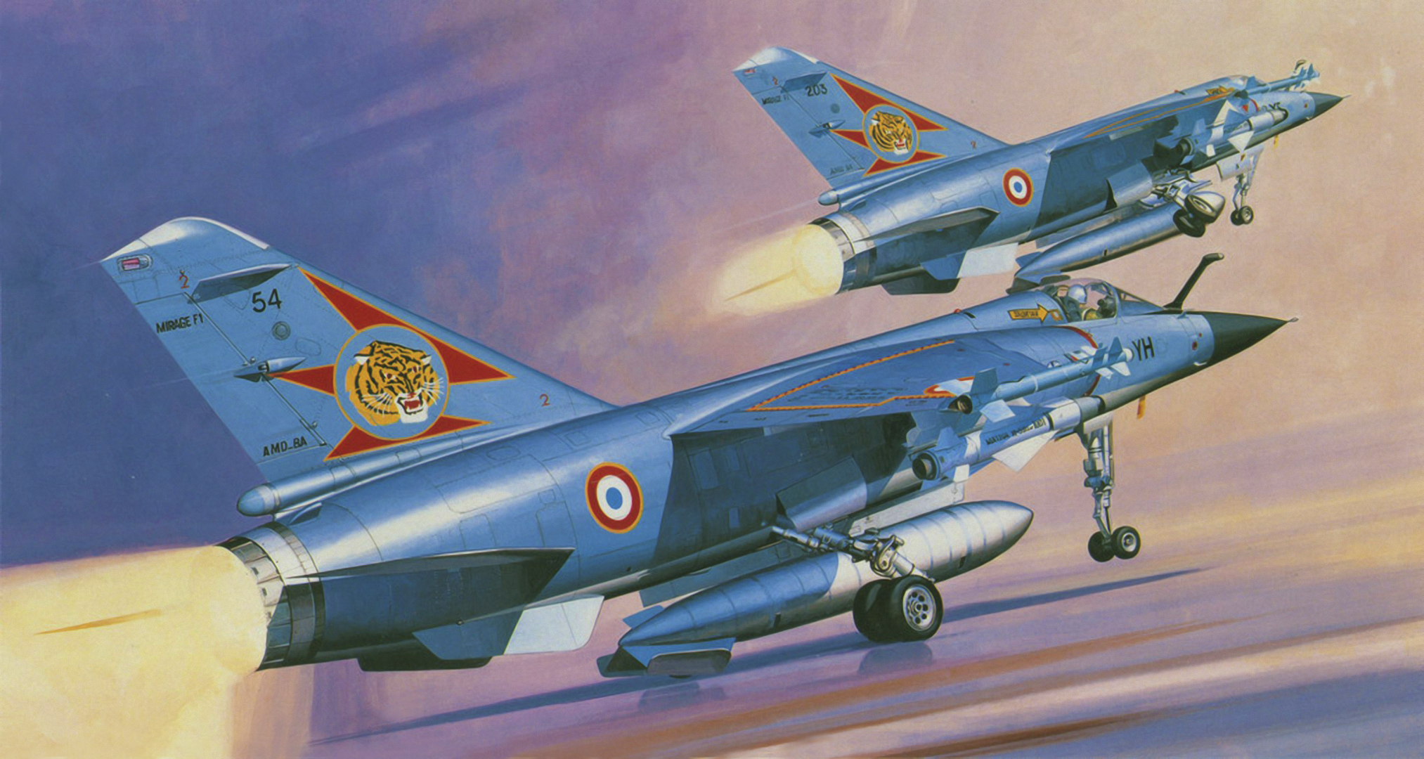 Dassault mirage f1. Mirage f1 1/72 hasegawa. F-15e hasegawa 1/72. C 1 72. Panasonic bf-110.