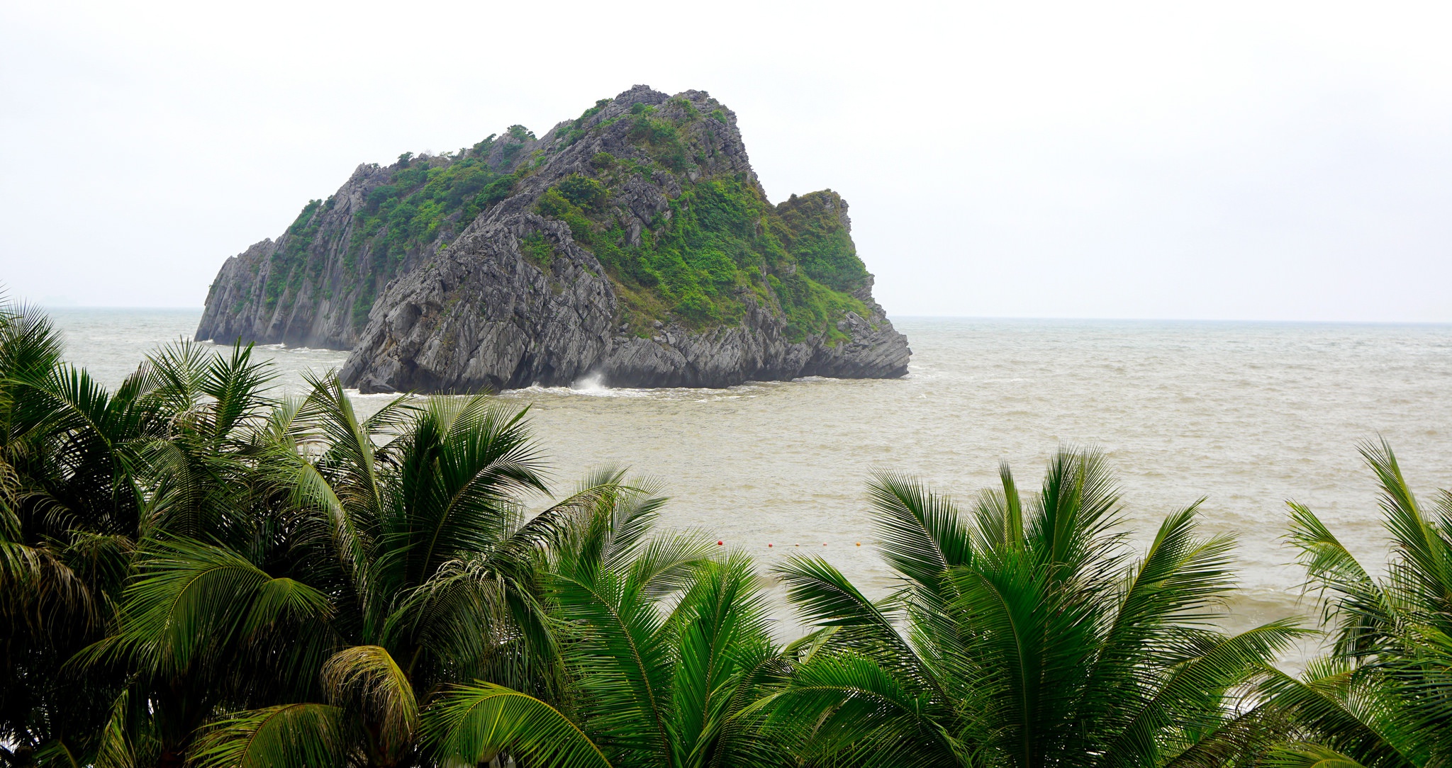 Download wallpaper sea, palm trees, island, Vietnam, national Park, Cat ...