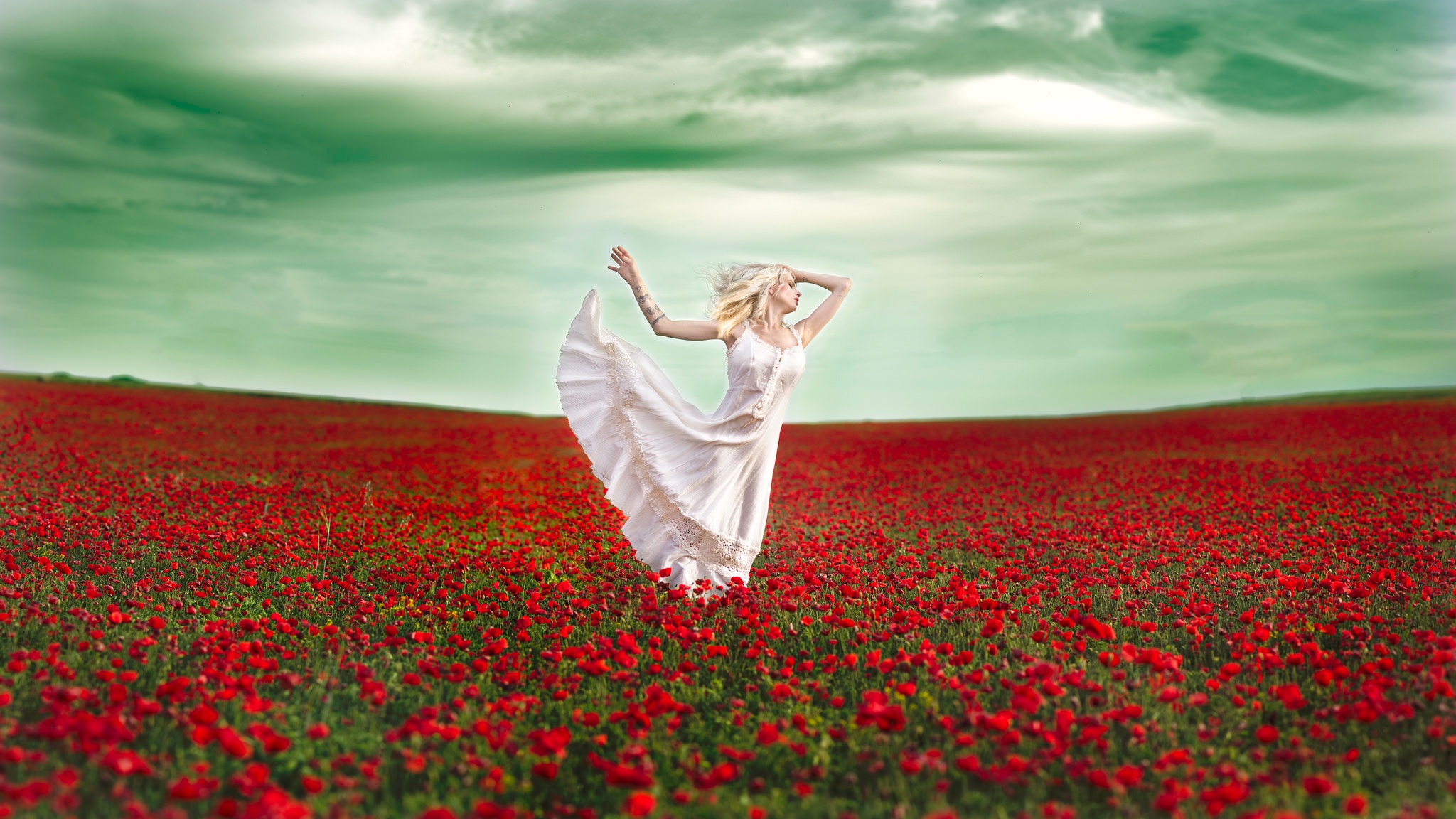 Песня маки танец. Девушка в цветочном поле. Цветы на ветру. Девушка в поле с цветами. Фотосессия в маках.
