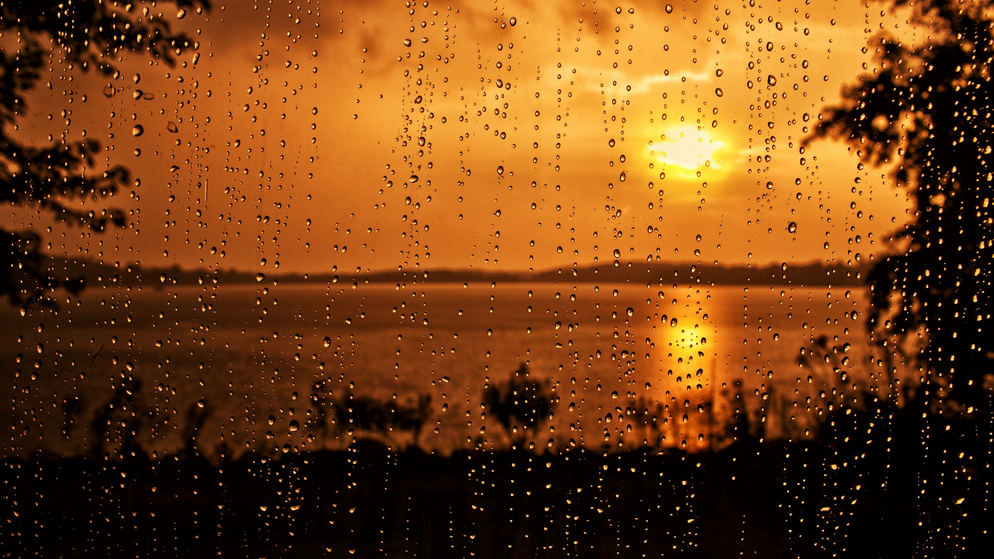 Солнце без дождя. Дождь и солнце. Дождь на закате. Капли на стекле. Дождь картинки.