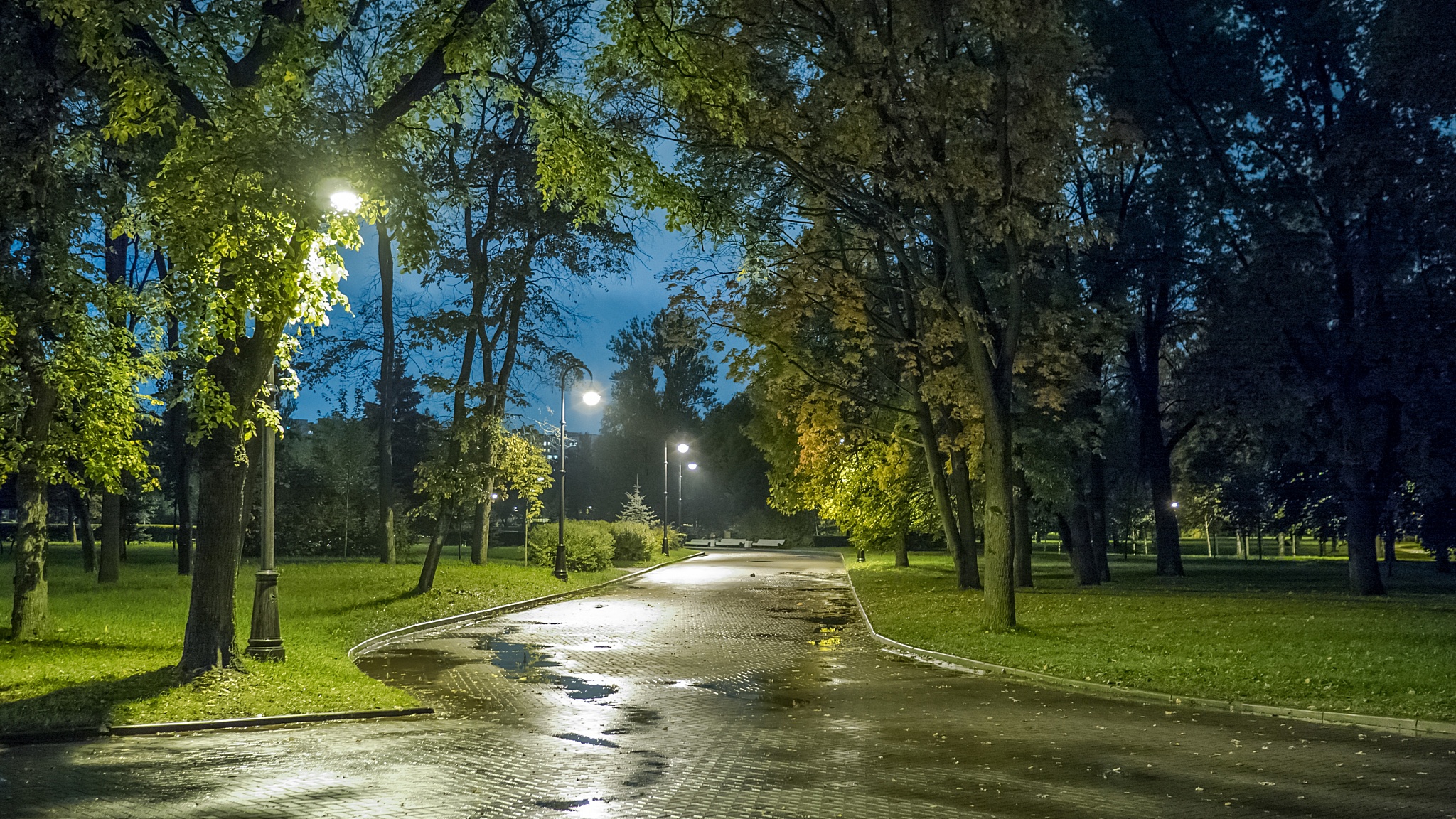 Вечером через парк. Улица парк. Лесопарк Санкт-Петербург. Ночной Питер парк. Улица СПБ парк.