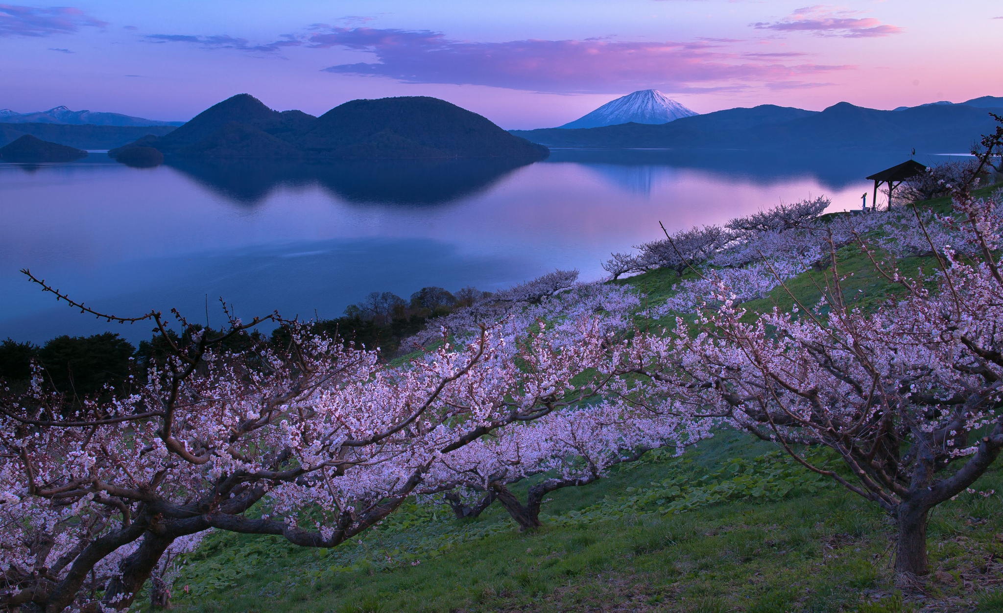 Japan wallpaper. Озеро бива в Японии Фудзияма. Хоккайдо цветение Сакуры. Китай горы Сакура. Ландшафт Япония горный.