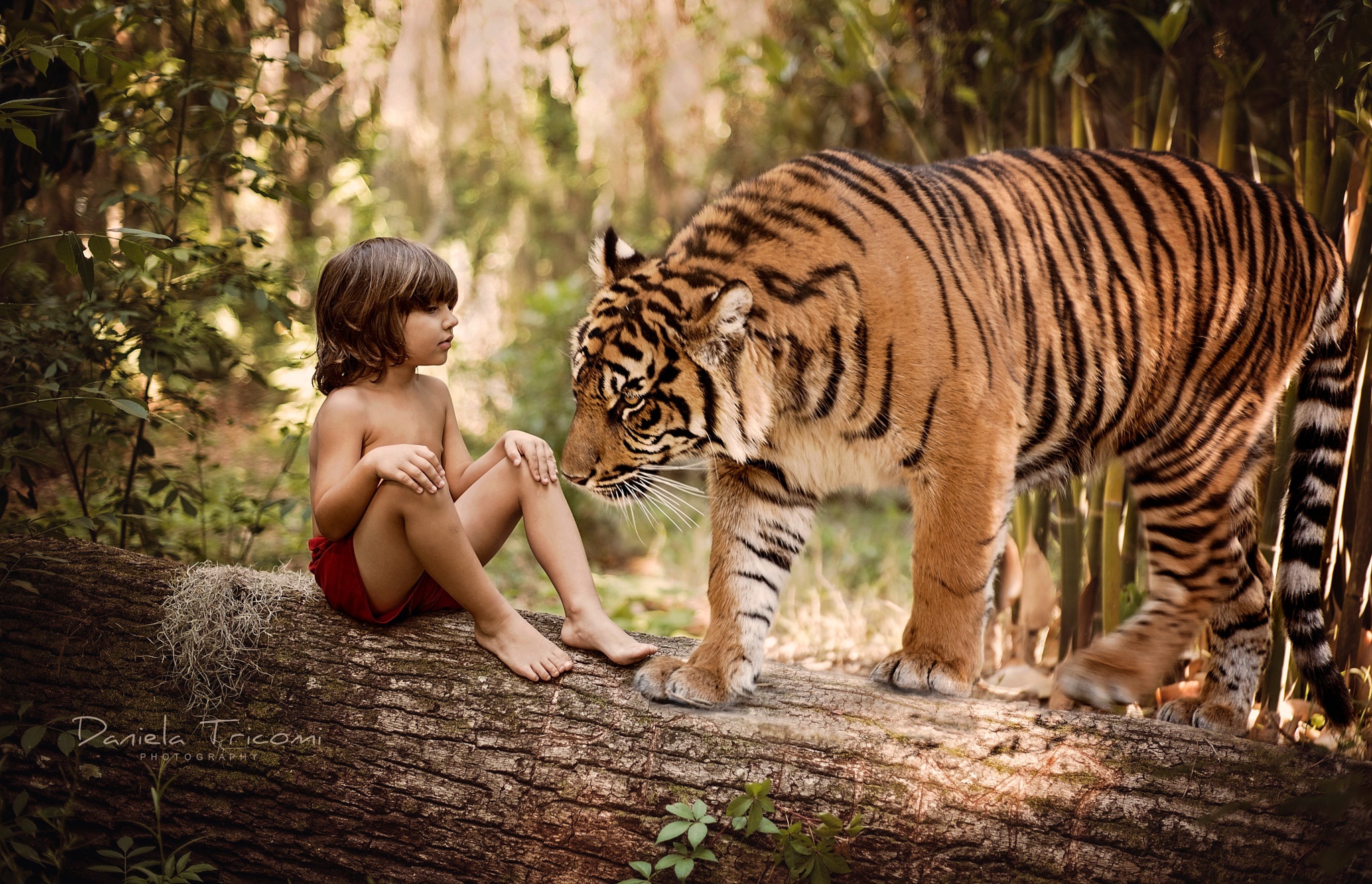 Люди хищные природы. Тигр для детей. Дети с дикими животными. Джунгли для детей. Тигр в джунглях.