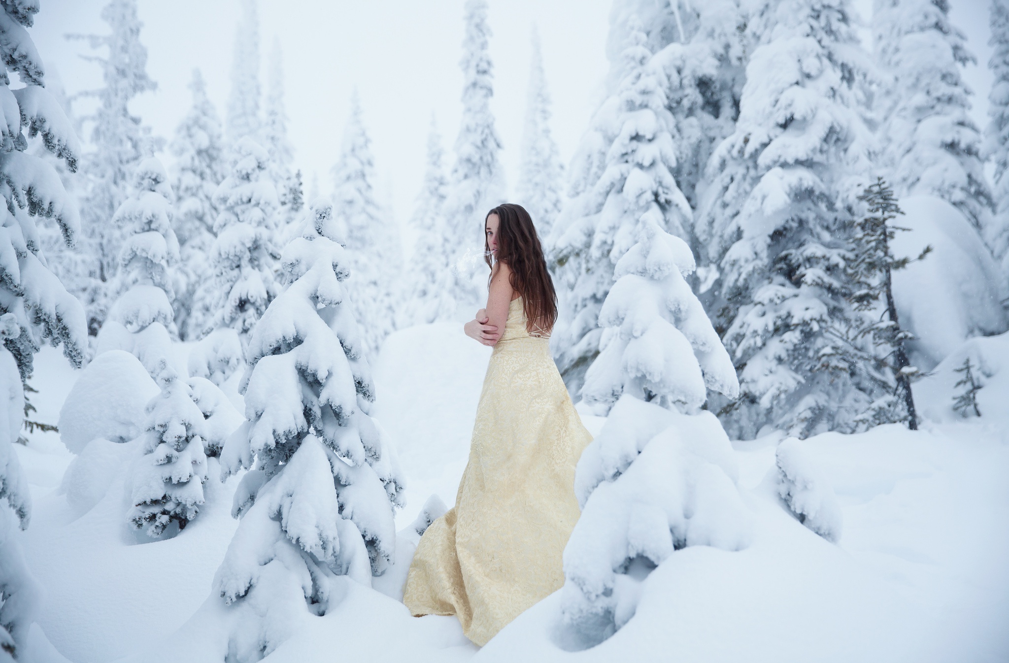 Девушка зима лес. Зимняя фотосессия в лесу. Девушка зимой в лесу. Девушка в Снежном лесу. Фотосессия зимой в платье.
