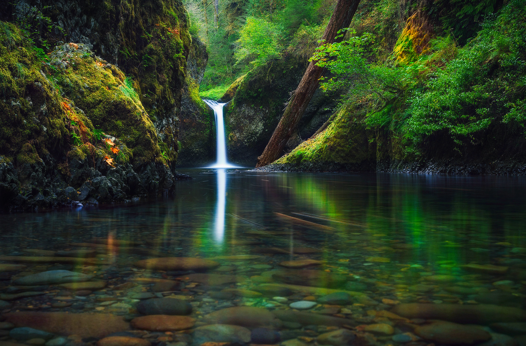 HD wallpaper: Waterfalls, forest, river, autumn