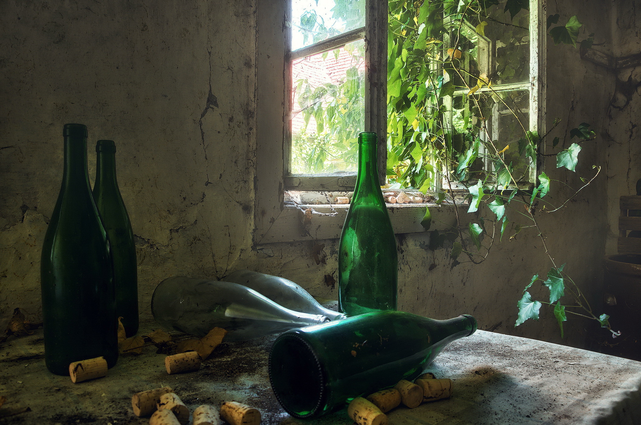 Пустую бутылку на стол не ставят. Пустая бутылка. Натюрморт с бутылкой. Натюрморт с зеленой бутылкой. Бутылка на столе.