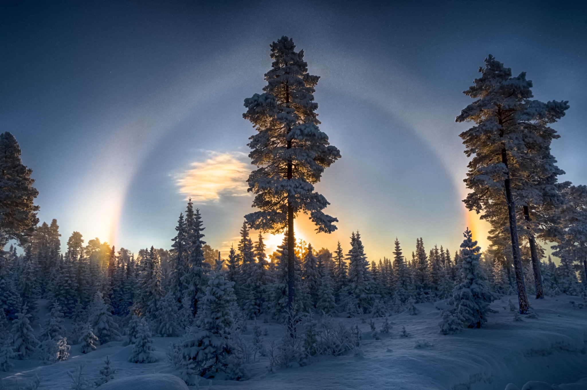 Еловый лес вечером. Зимняя природа. Природа Карелии зимой. Зима в лесу. Зимний лес вечером.