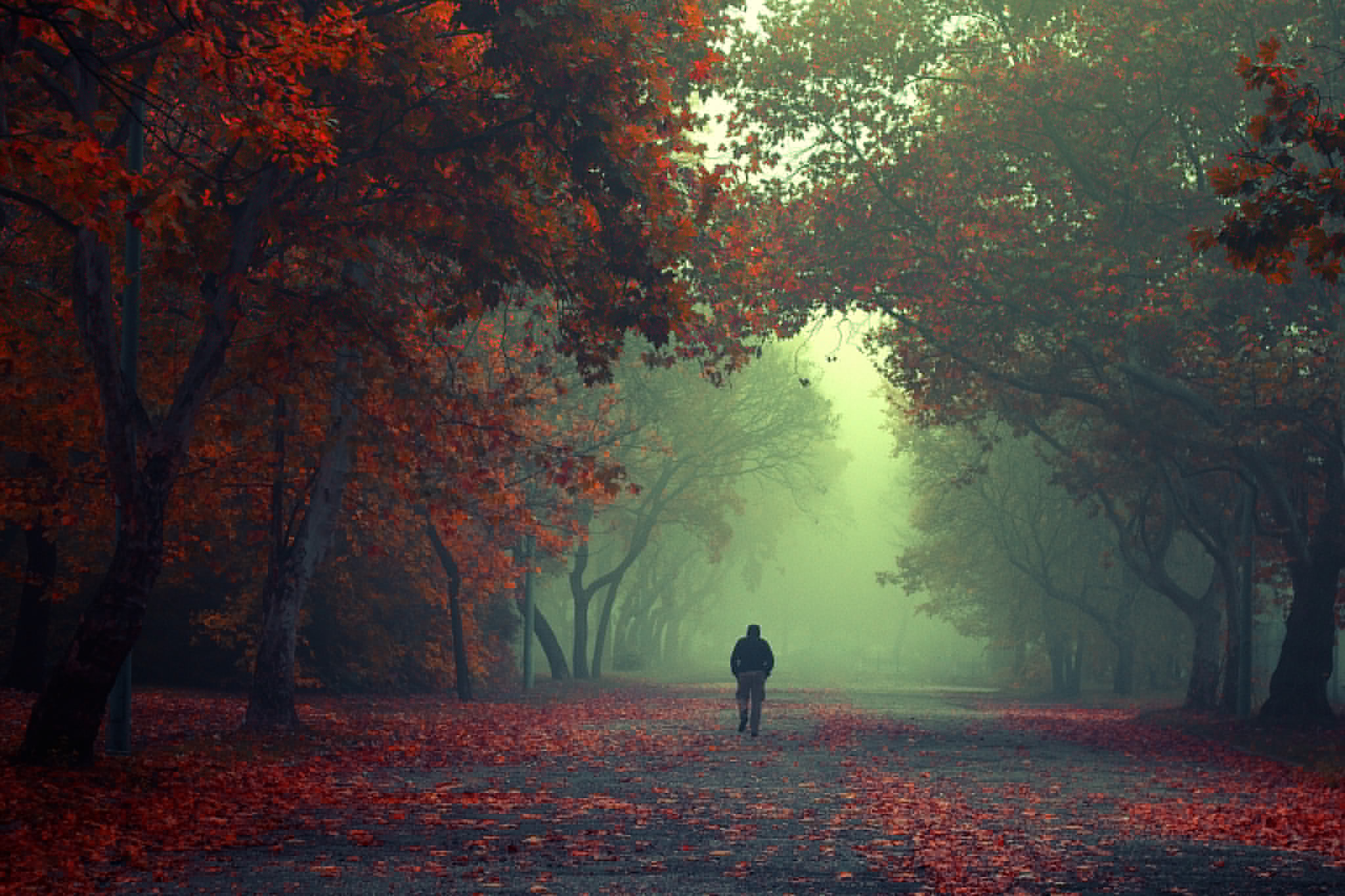 Осень мужского рода. Осень одиночество. Осень грусть. Одиночество осенью. Одинокий человек осенью.