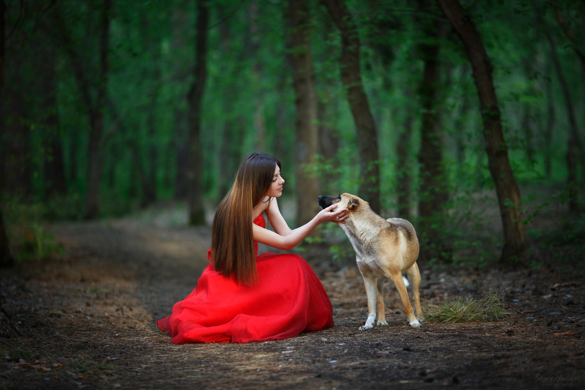 Картинка девушки с собакой. Фотосессия с собакой в лесу. Фотосессия с собакой в платье. Фотосессия в Красном платье в лесу. Девушка с собакой фотосессия.
