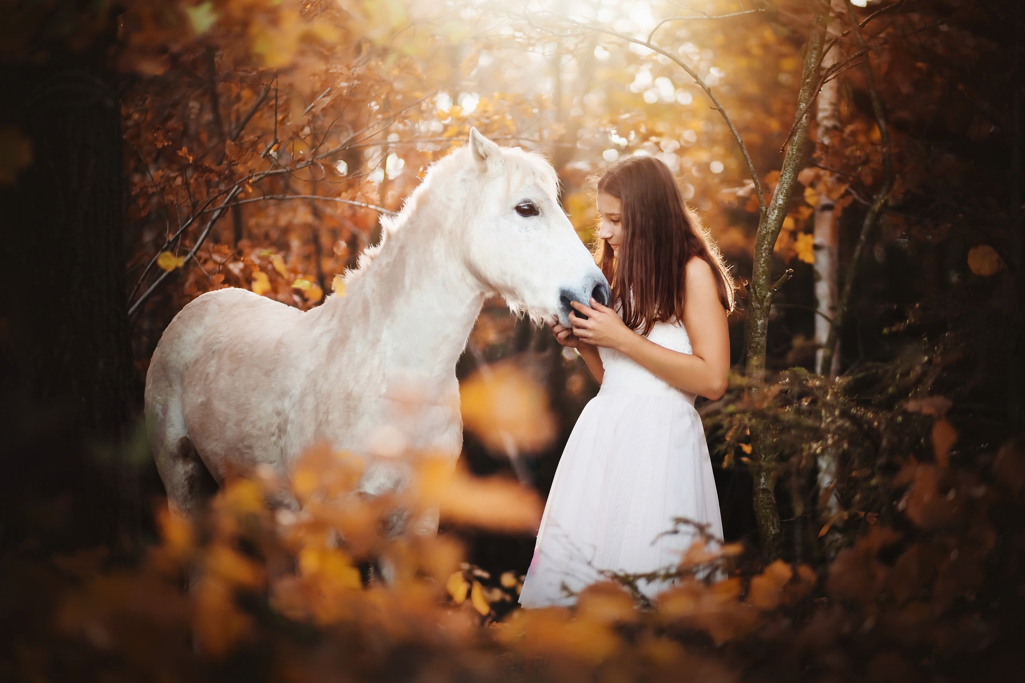 Horses fall. Девушка и белая лошадь. Девушка с лошадью. Девочка на лошади. Белая лошадь с девочкой.
