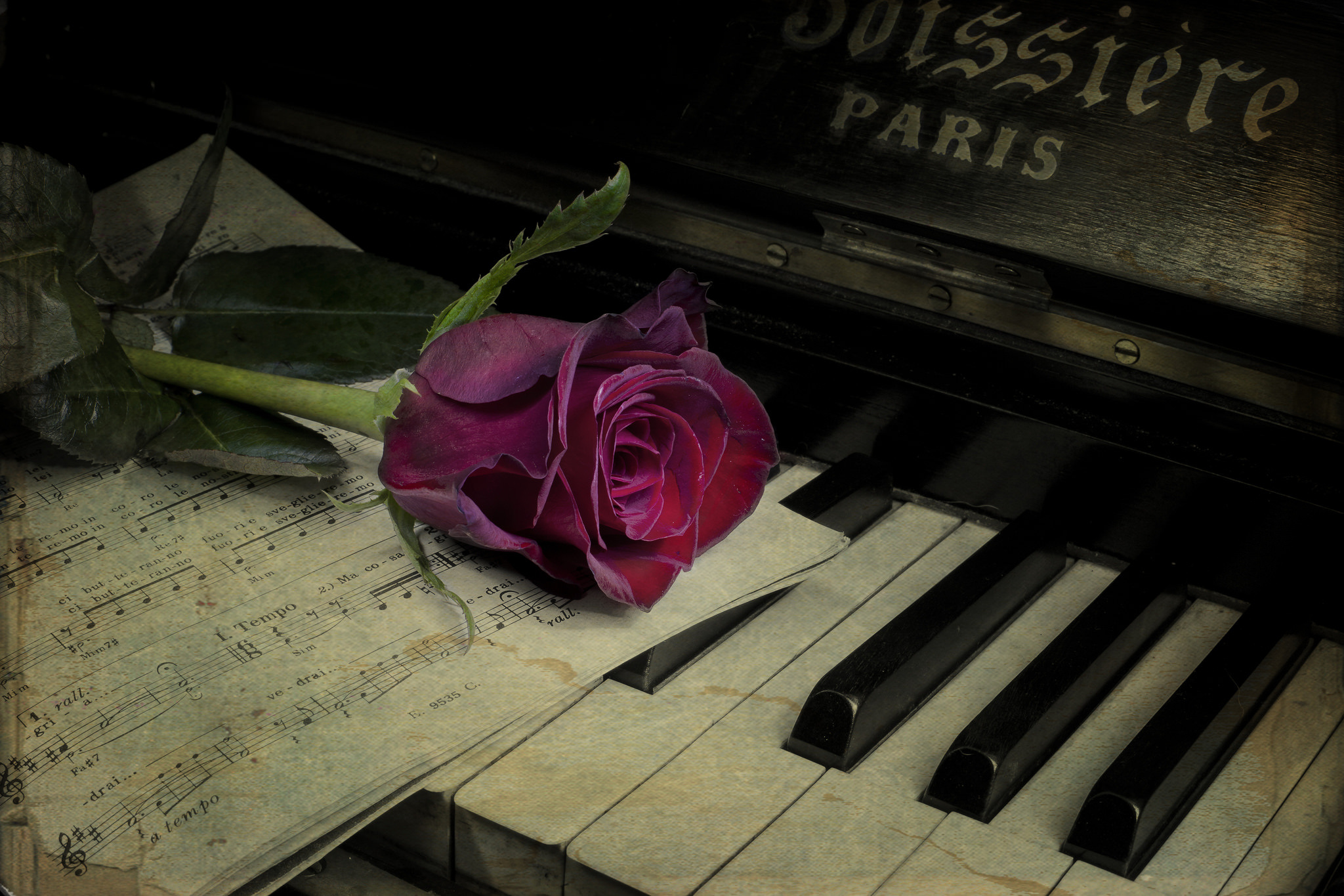 Трогательные душевные песни. Цветы на пианино. Пианино с цветами. Пианино на рабочий стол. Цветы на рояле.