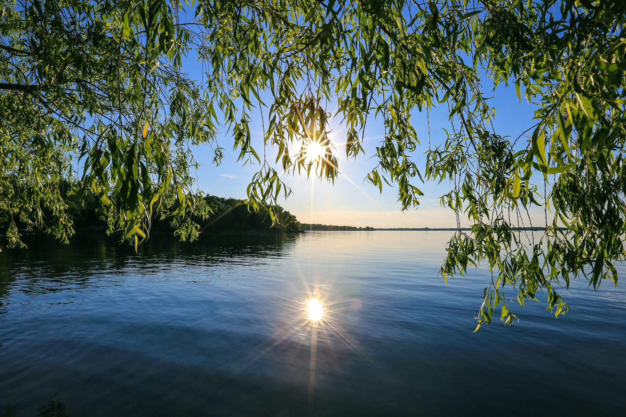 Внизу над рекой. Волга река Березка. Озеро Березовое Березово. Лето река солнце. Озеро солнце.