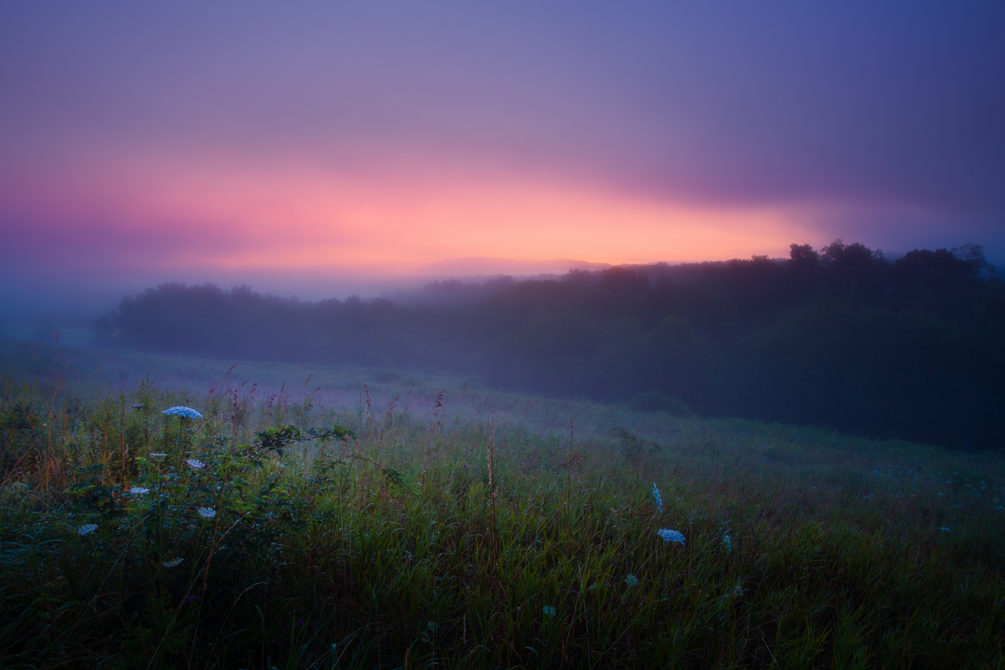 Рассвет туман роса. Ранний рассвет. Утренний туман. Раннее утро. Туманный пейзаж.