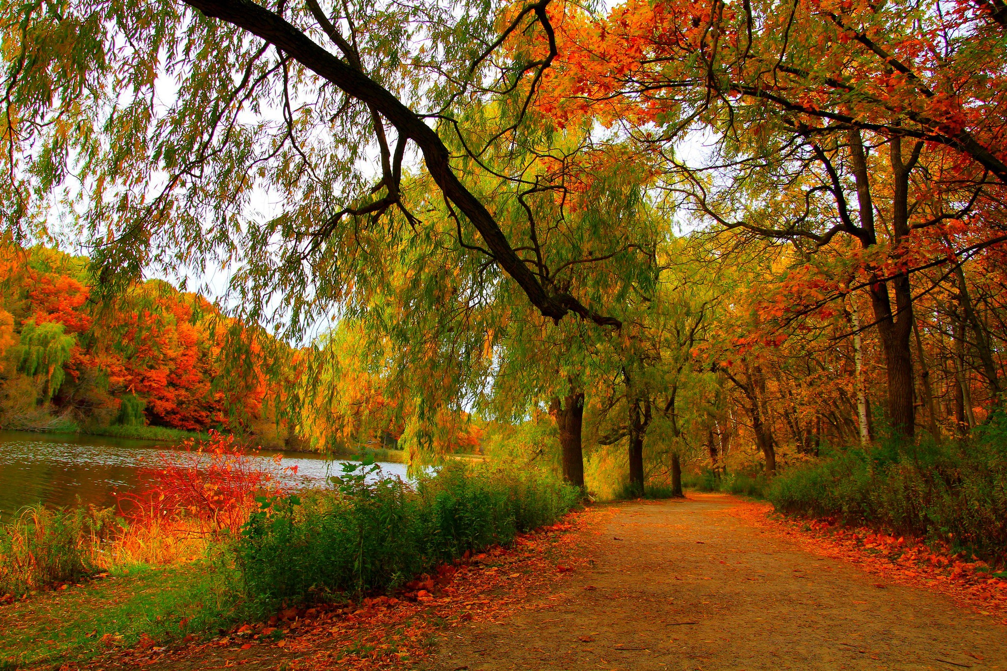 Красивые осенние картинки. Валерий Брюсов ранняя осень. Осенний пейзаж. Природа осень. Ранняя осень.