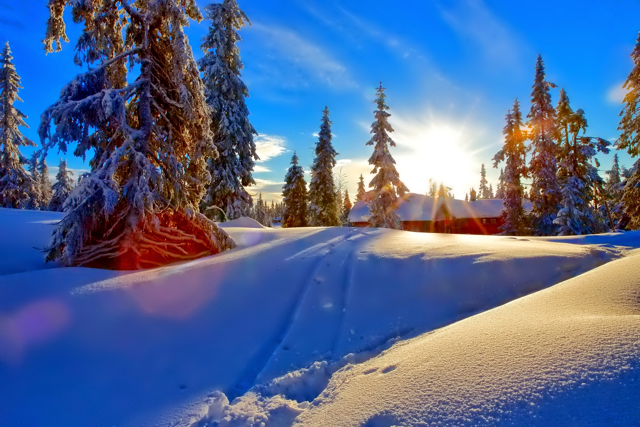 Красивое солнце зима. Зимний пейзаж. Солнечный зимний день. Зима в лесу. Зимний Солнечный пейзаж.