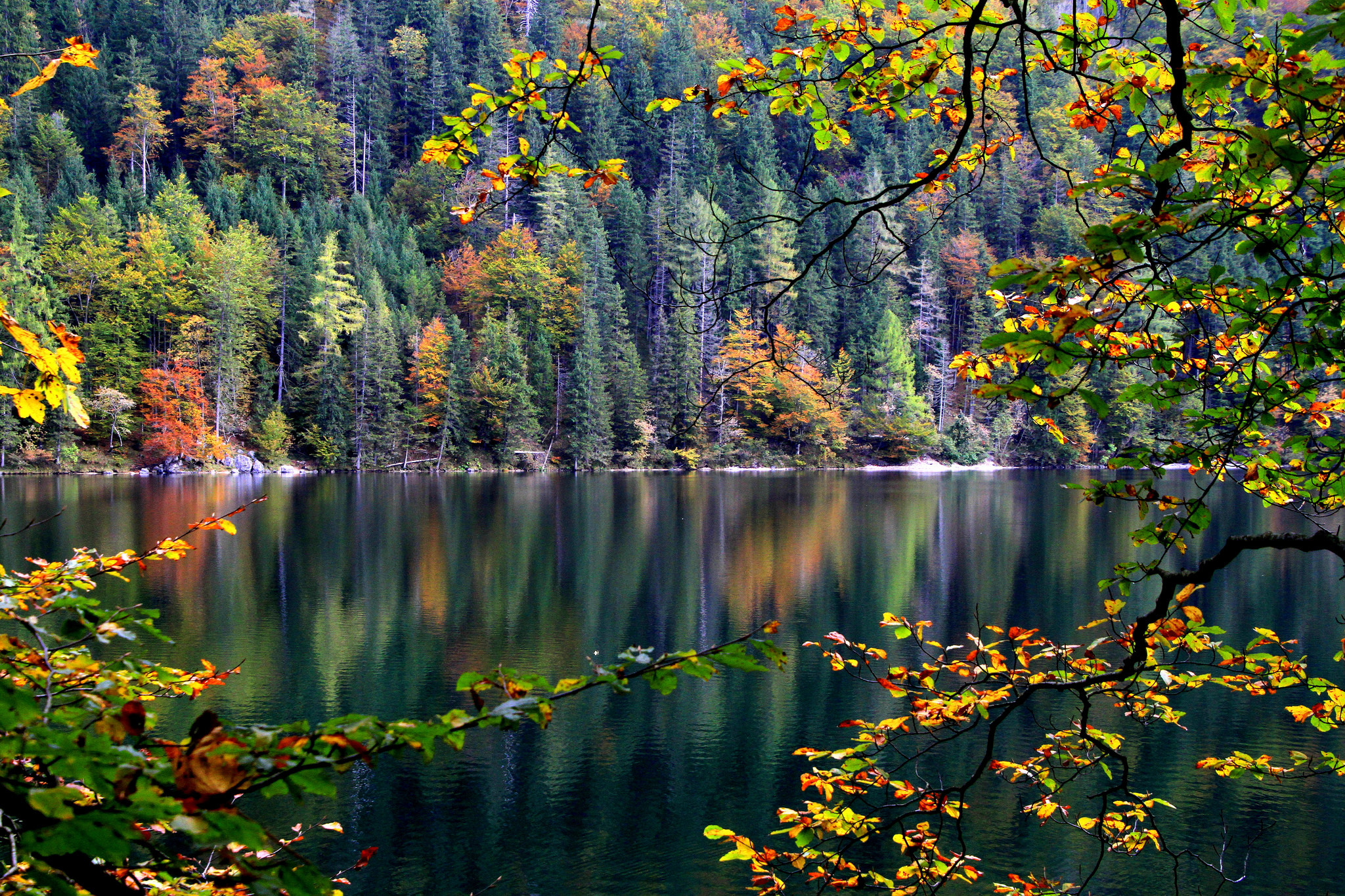 Красивые обои на телефон природа. Пейзаж. Осень лес озеро. Осень высокое разрешение. Природа осенью картинки.
