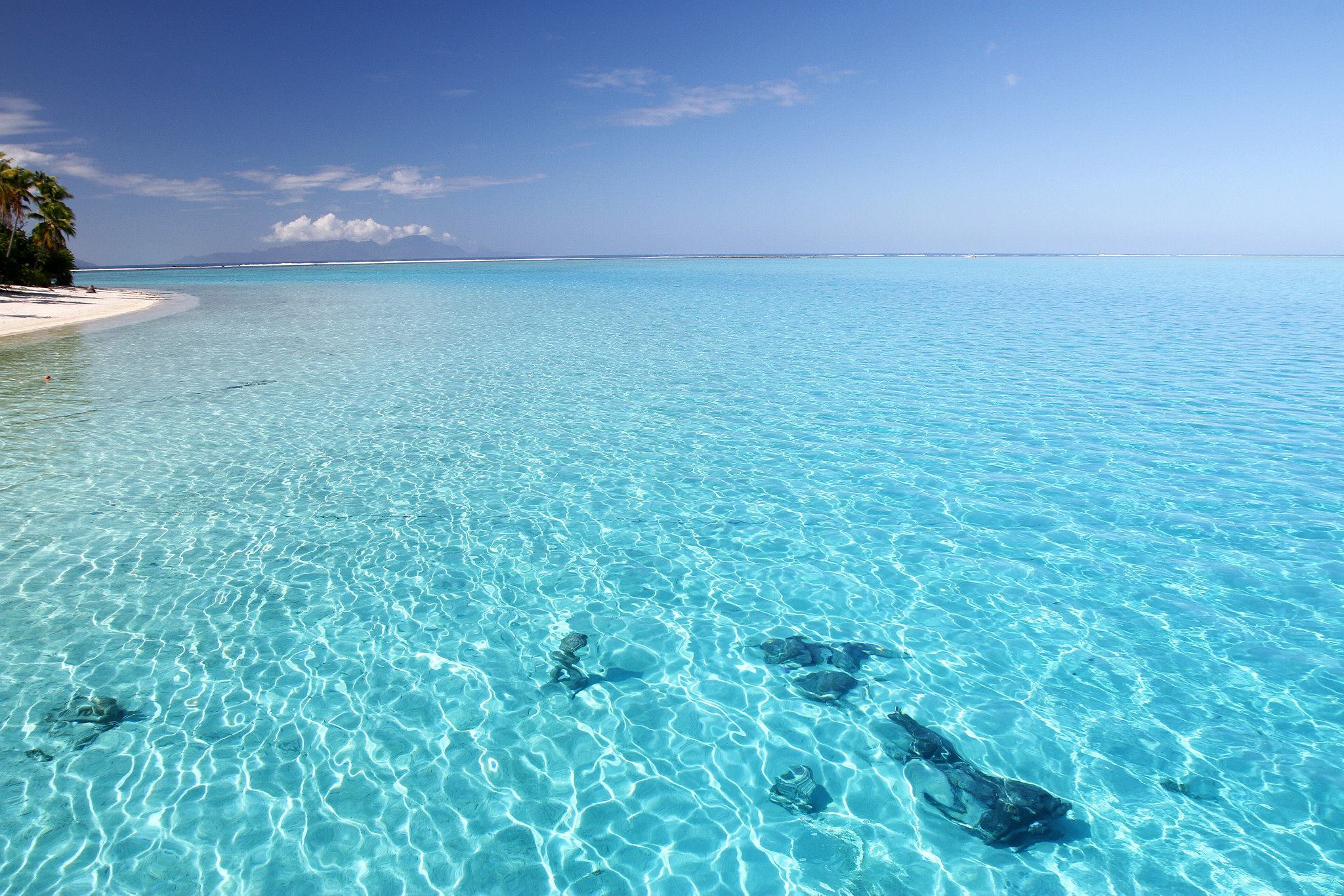 Бирюзовая вода море. Мальдивы голубая Лагуна. Морская Лагуна. Парадиз остров Карибского моря. Пляж Лагуна.