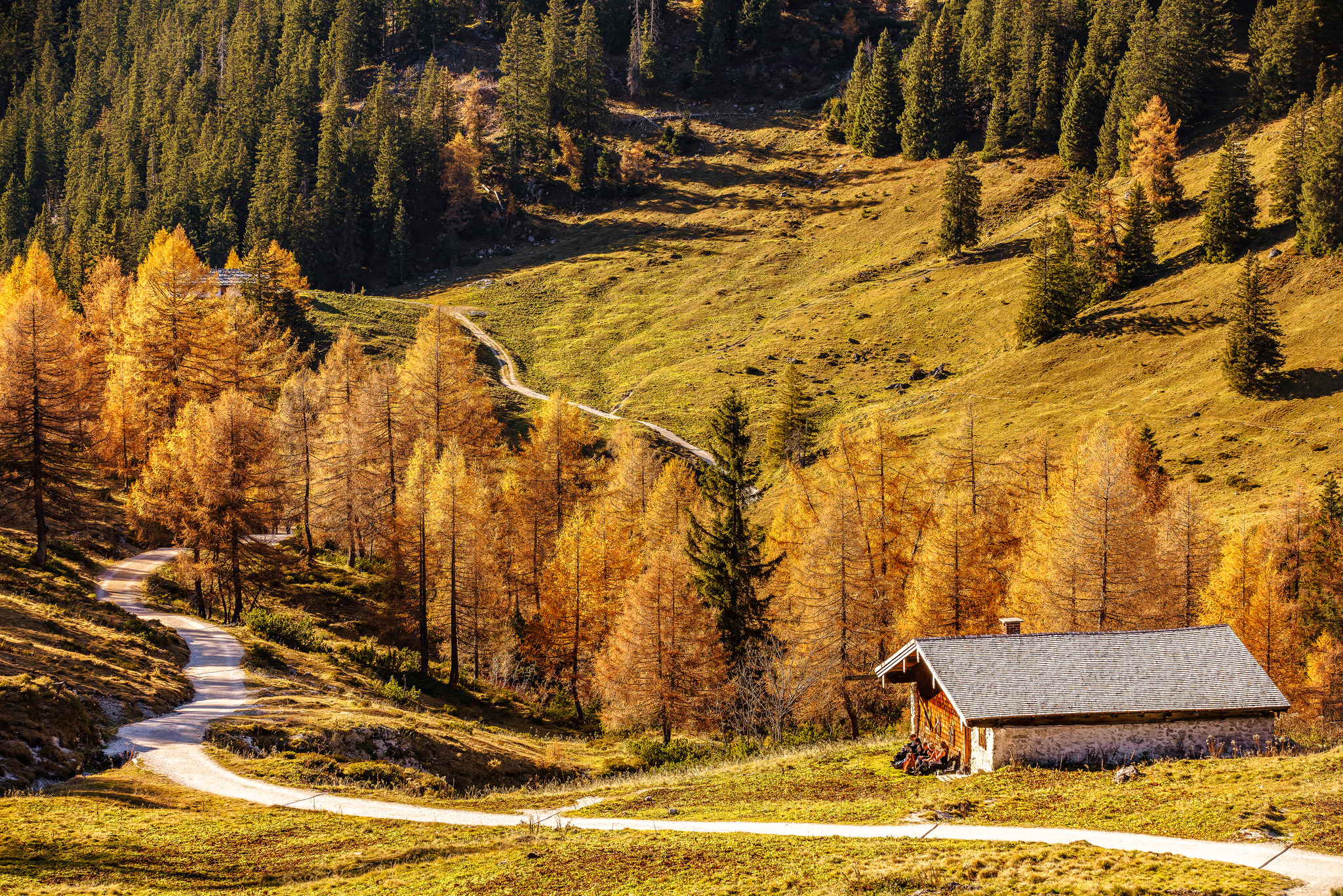 Осень Домик В Лесу Картинки