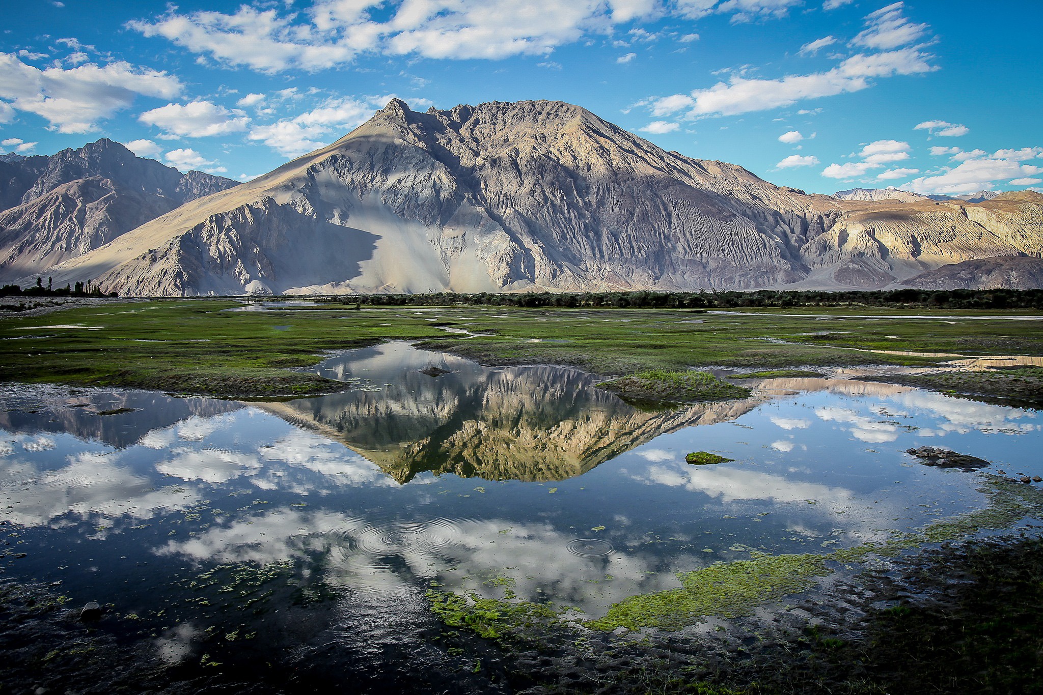 5,000+ Nubra Valley Stock Photos, Pictures & Royalty-Free Images