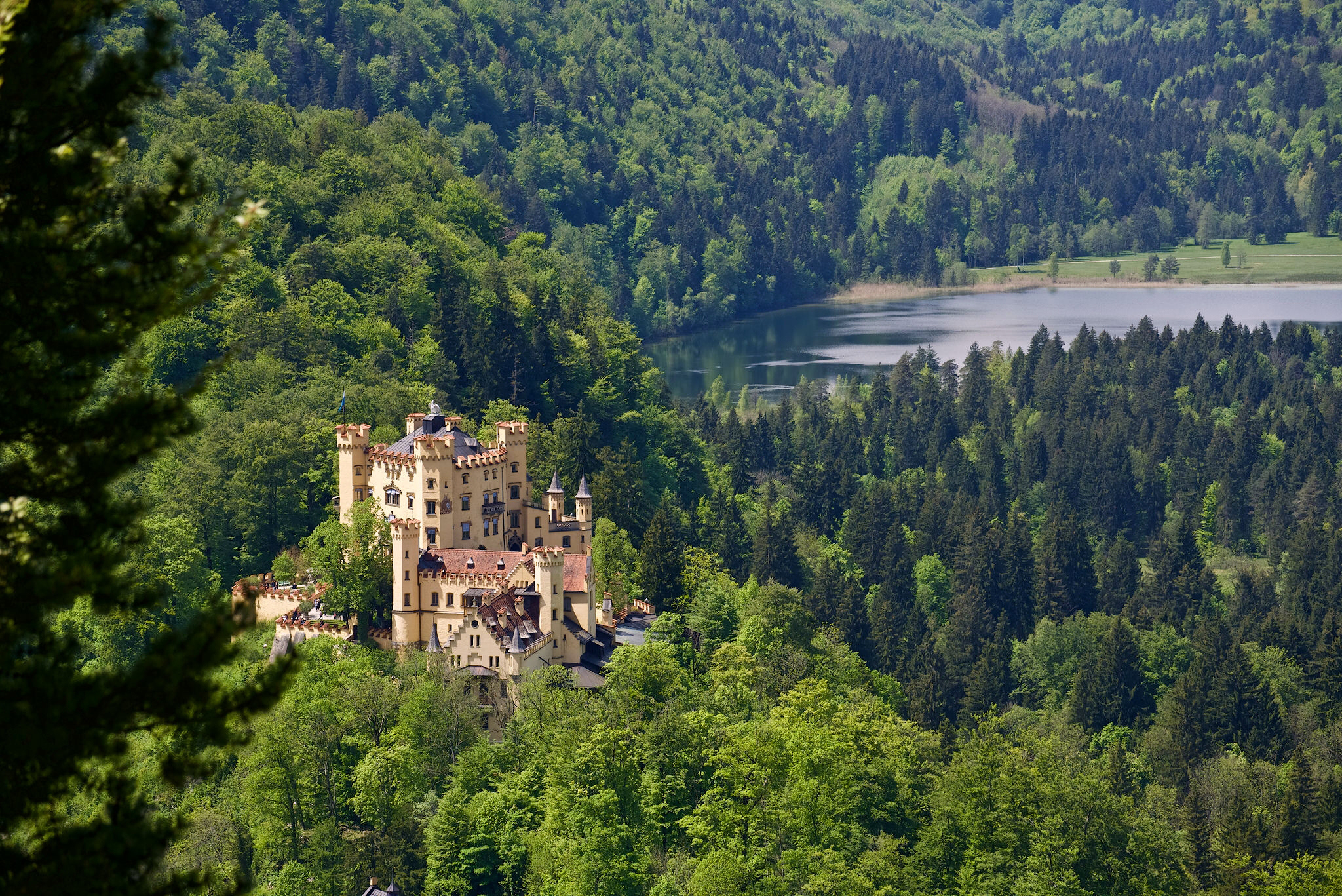 Forest castle. Хоэншвангау Германия Бавария. Замок в Баварии Хохеншвангау. Замок Хоэншвангау, Швангау, Германия. Замок Визентау Бавария.