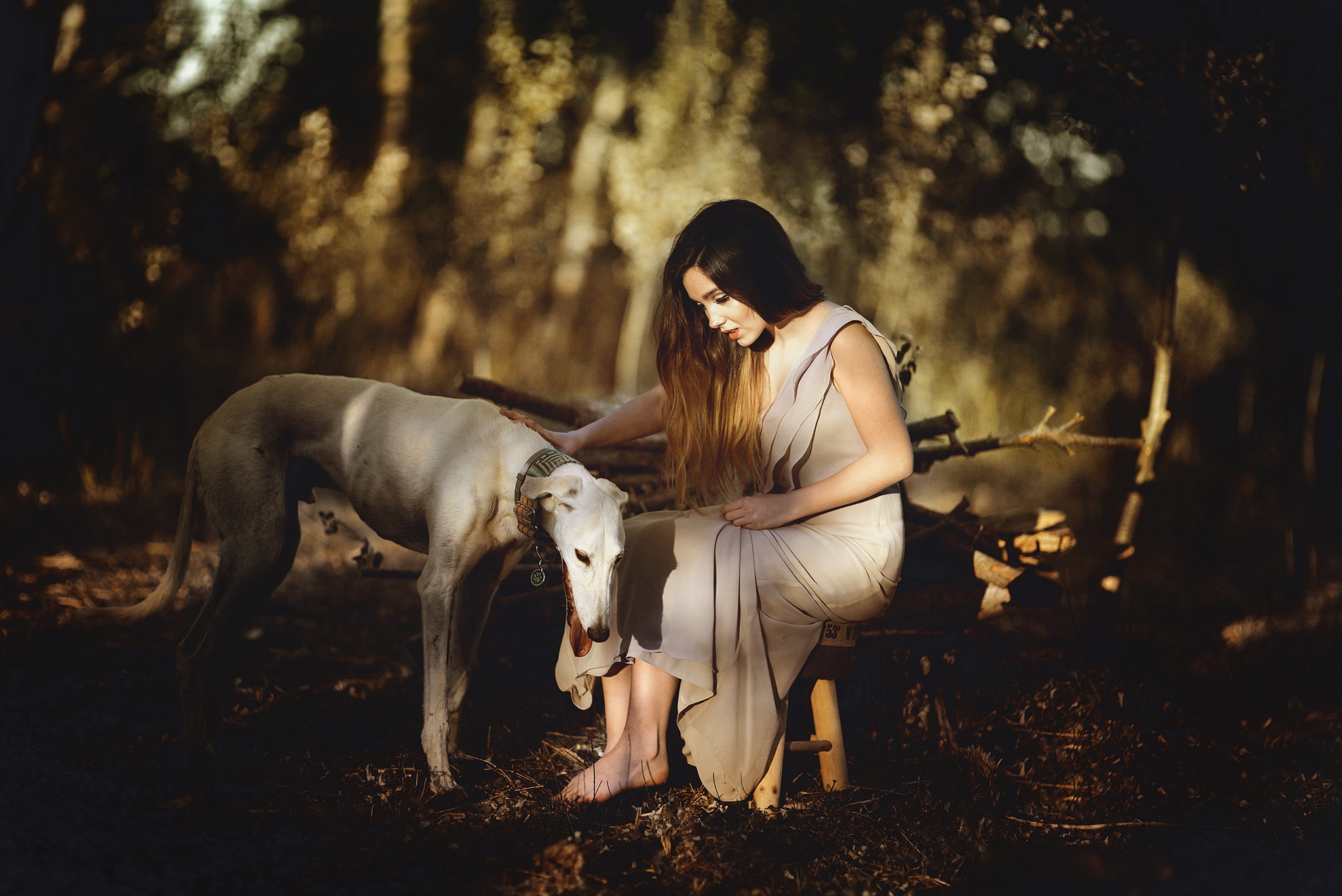 Girl and dog. Девушка с собакой на природе. Девушка с собакой Эстетика. Девушка в замке с собакой. Собака дог и девушка.