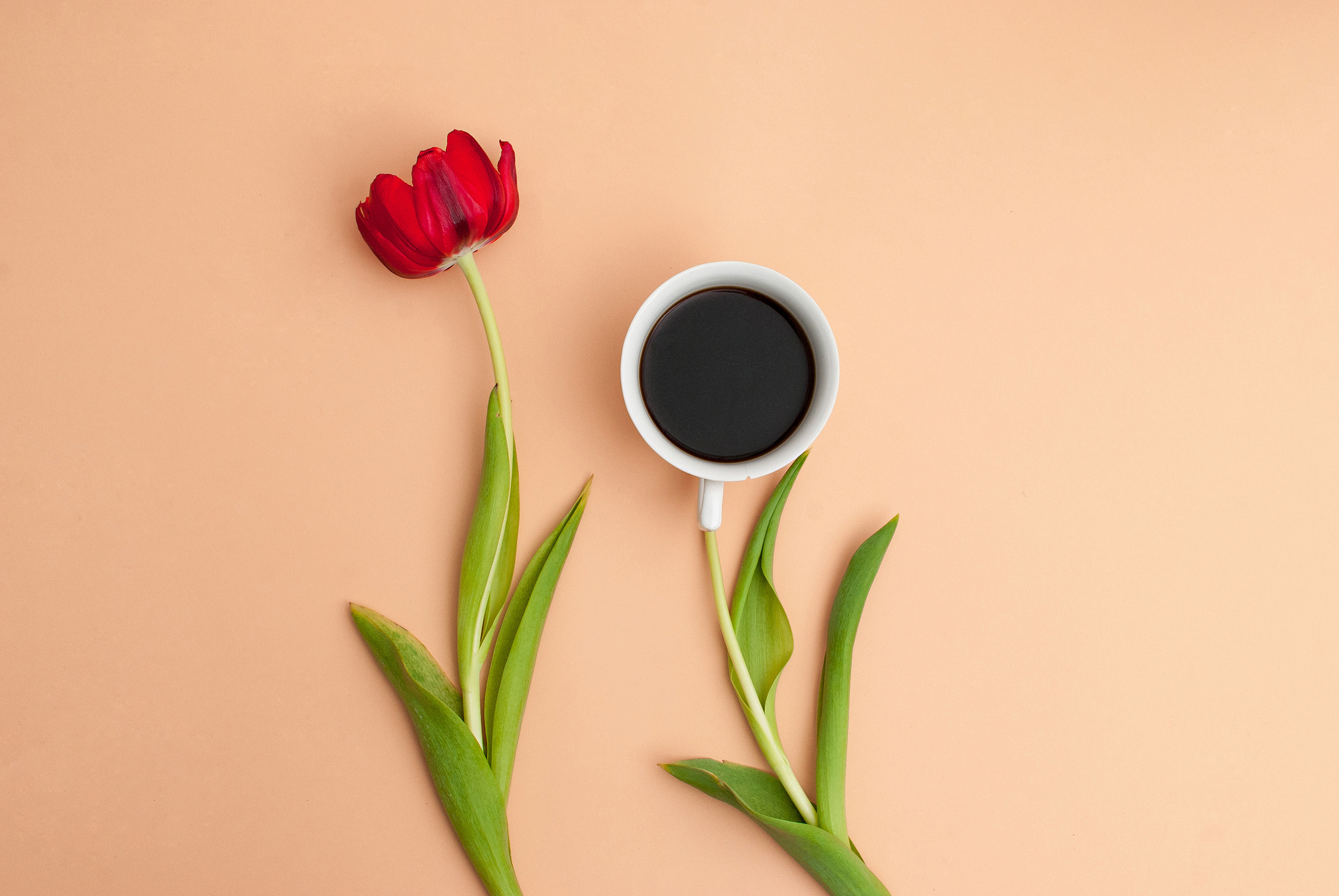 Воскресного дня мужчине. Кофе и цветы. Цветы Минимализм. Креативные цветы. Креативные открытки с добрым утром.