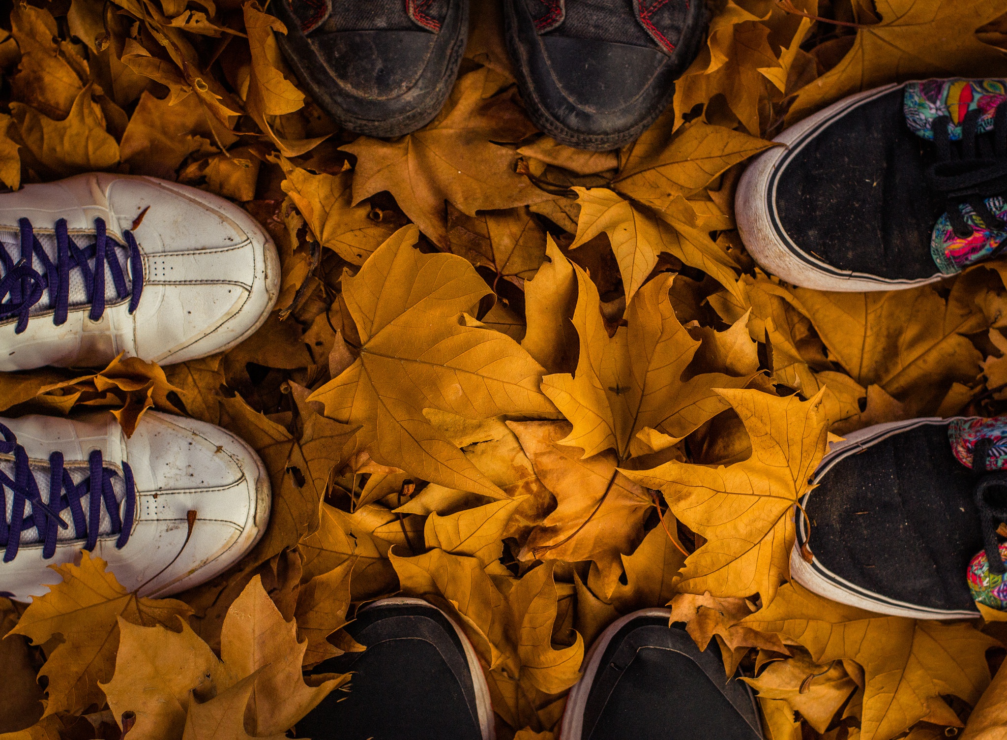 Wallpaper autumn, leaves, fall, feet for mobile and desktop, section  разное, resolution 2048x1504 - download