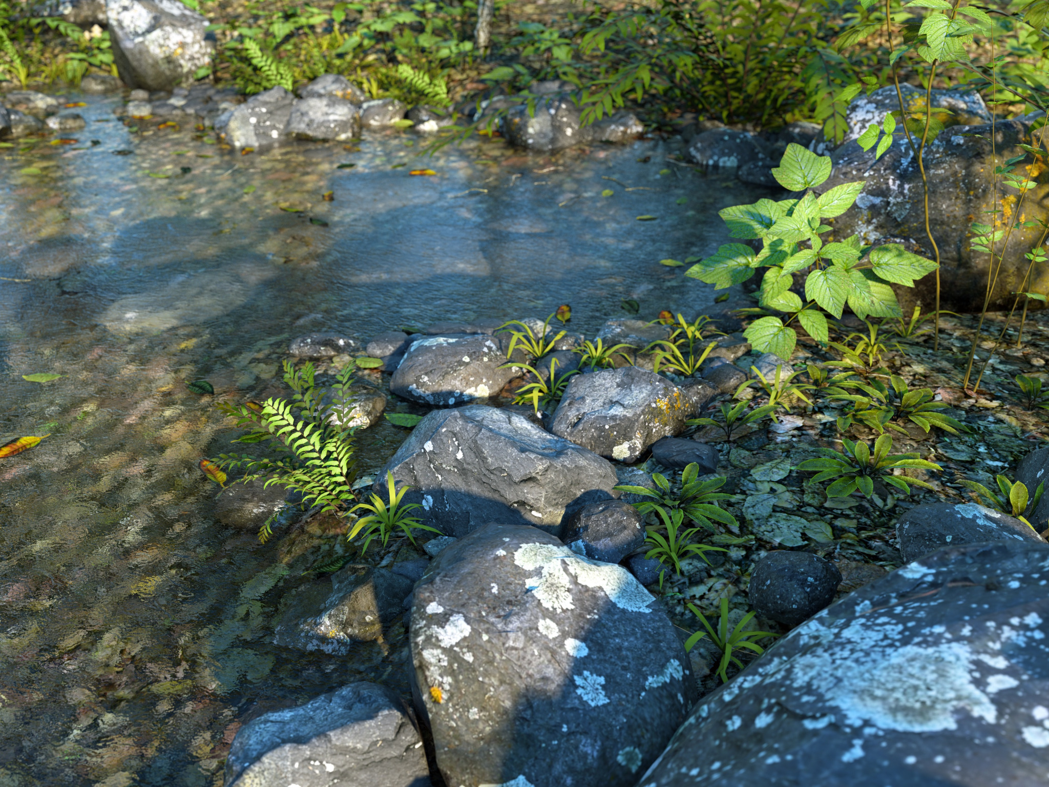 Download wallpaper nature, stones, vegetation, pond, Fern Water PW ...