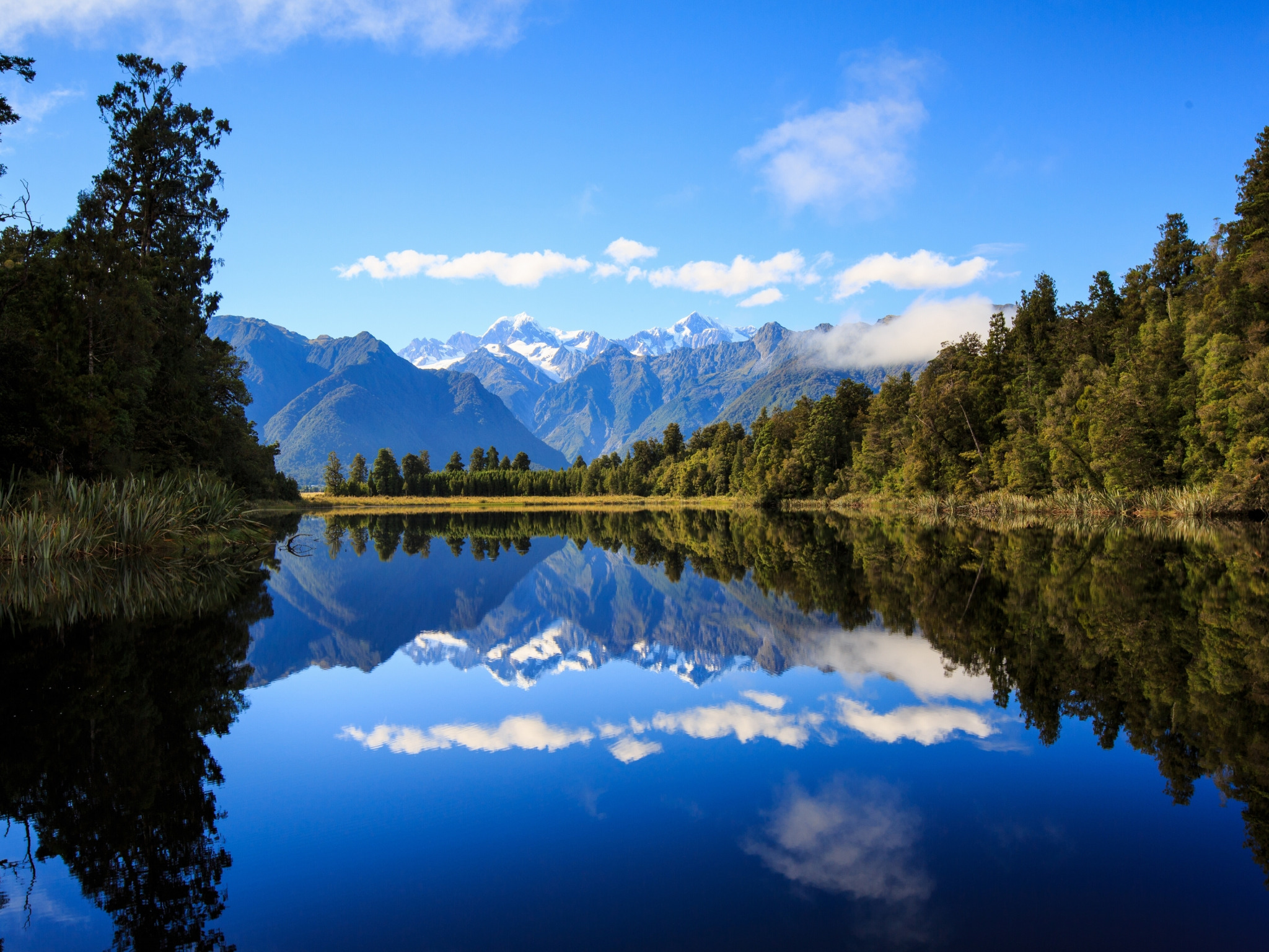 Download wallpaper forest, mountains, lake, reflection, New Zealand ...