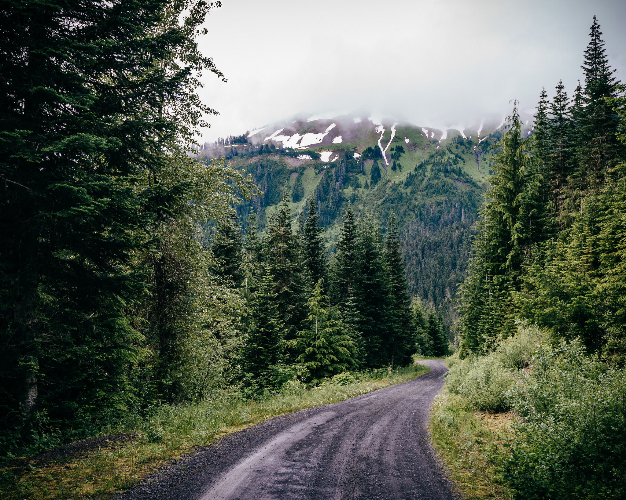 Forest gap. Немецкий Шварцвальд Горная дорога. Годердзи лес. Тюрингский лес. Орегон трасса горы лес.