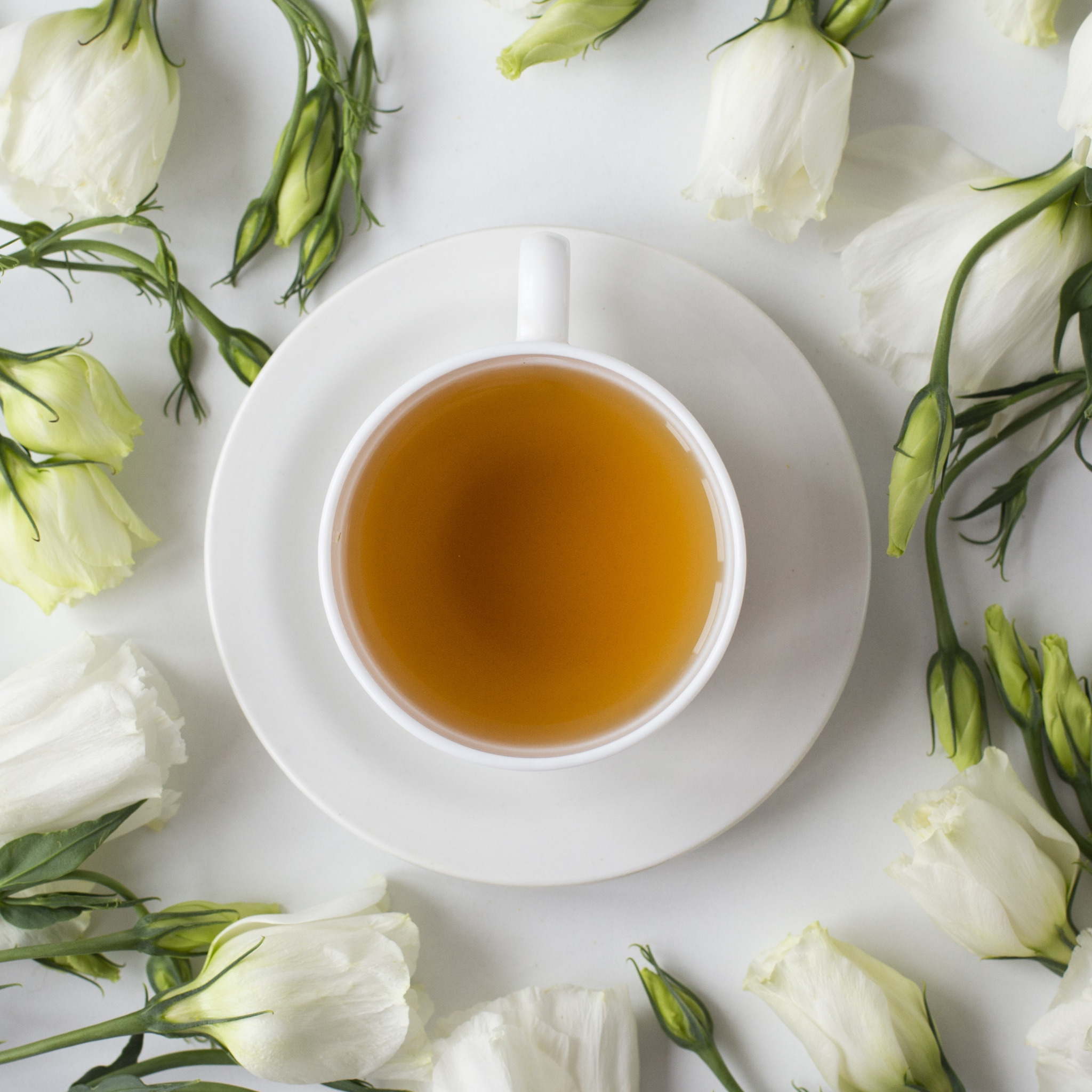 Tan chảy. Чай Тан. Белый чай цветок. Green Tea Flowers.