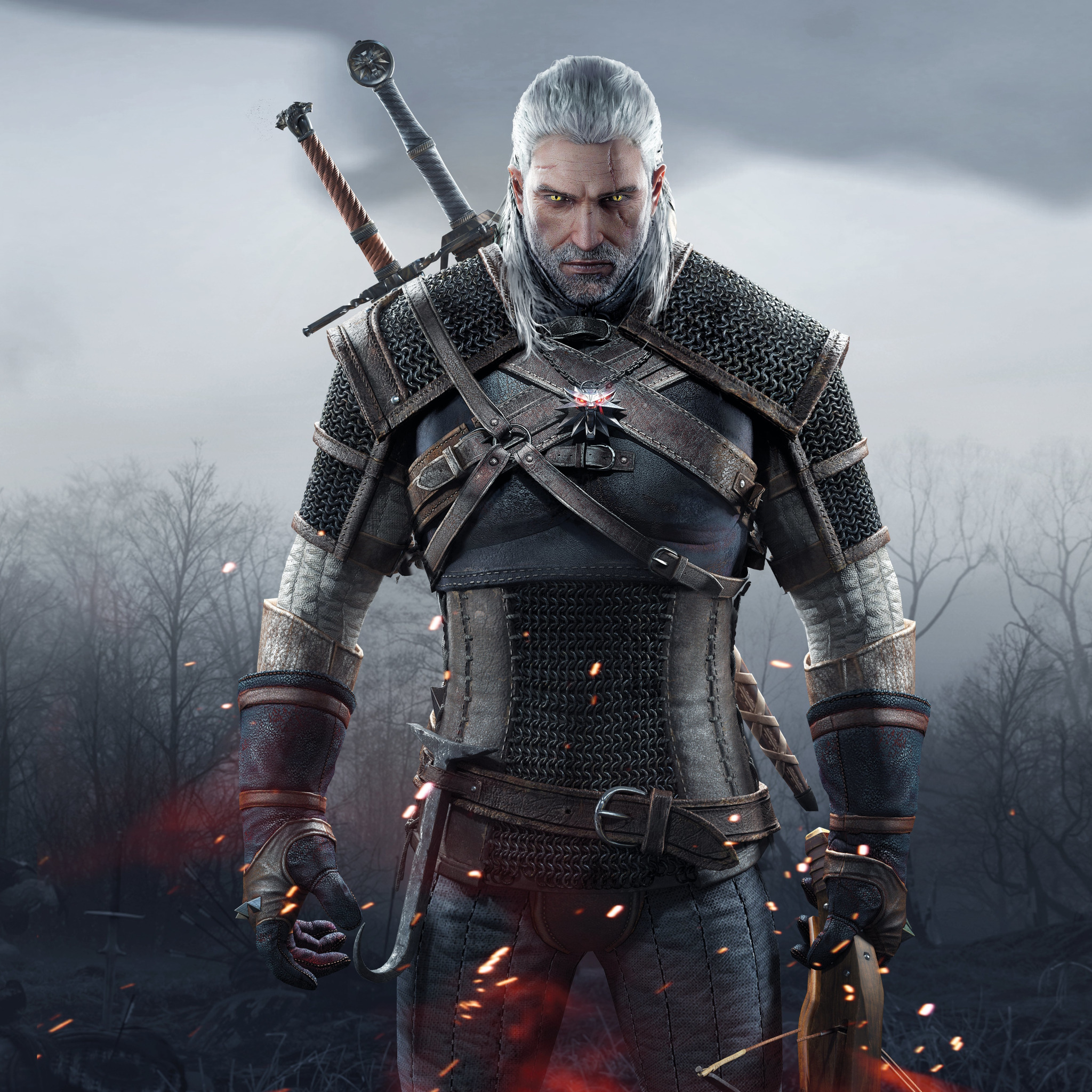 Download Wallpaper Look, Sword, Warrior, Beard, Armor, The Witcher.