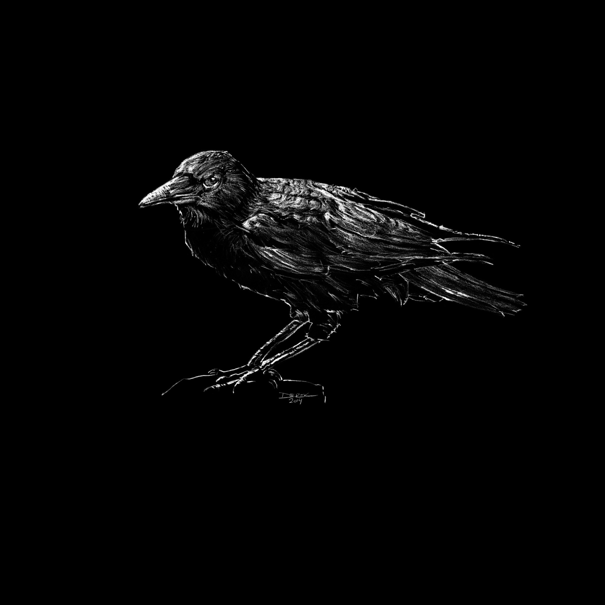 Download wallpaper bird, beak, Raven, section minimalism in resolution ...